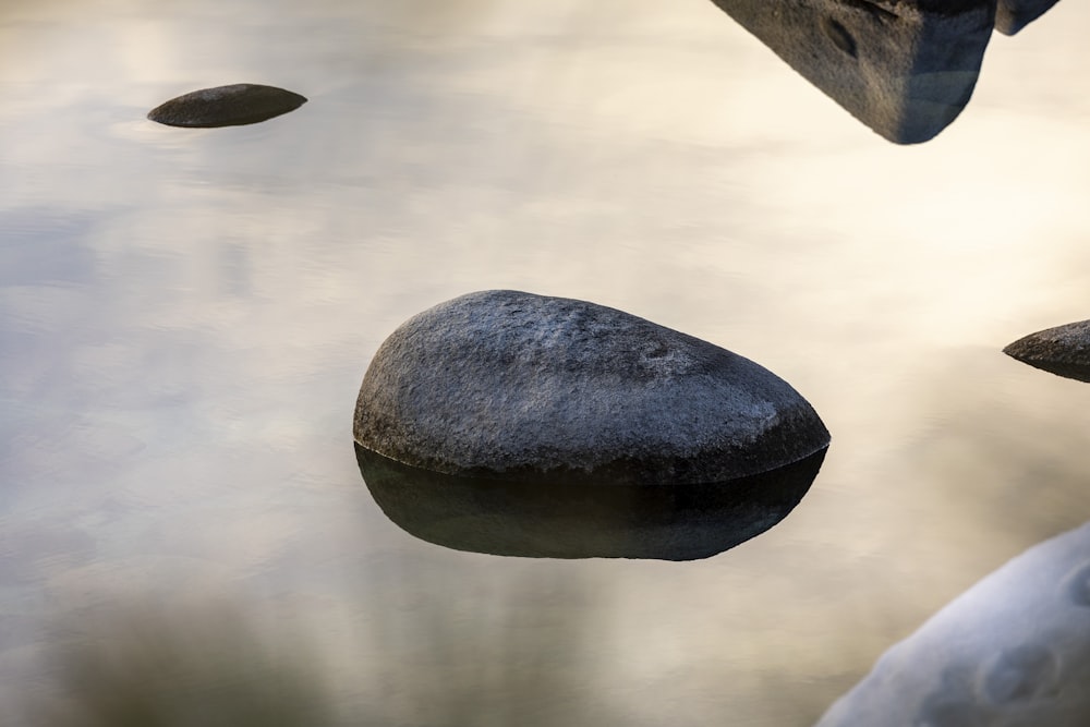 Un gruppo di rocce che galleggiano sulla cima di uno specchio d'acqua