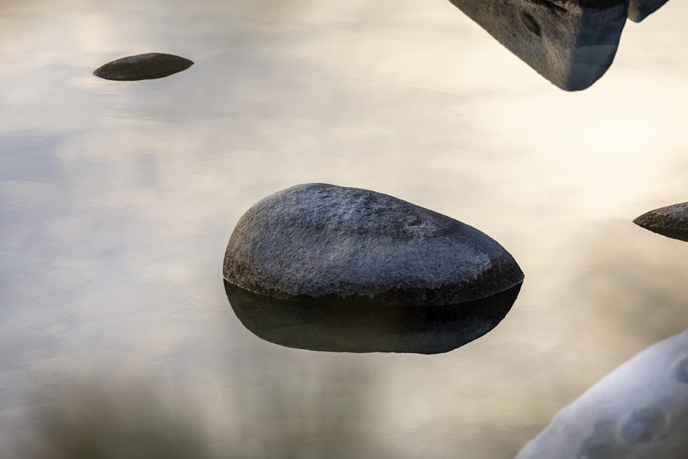 a group of rocks floating on top of a body of water