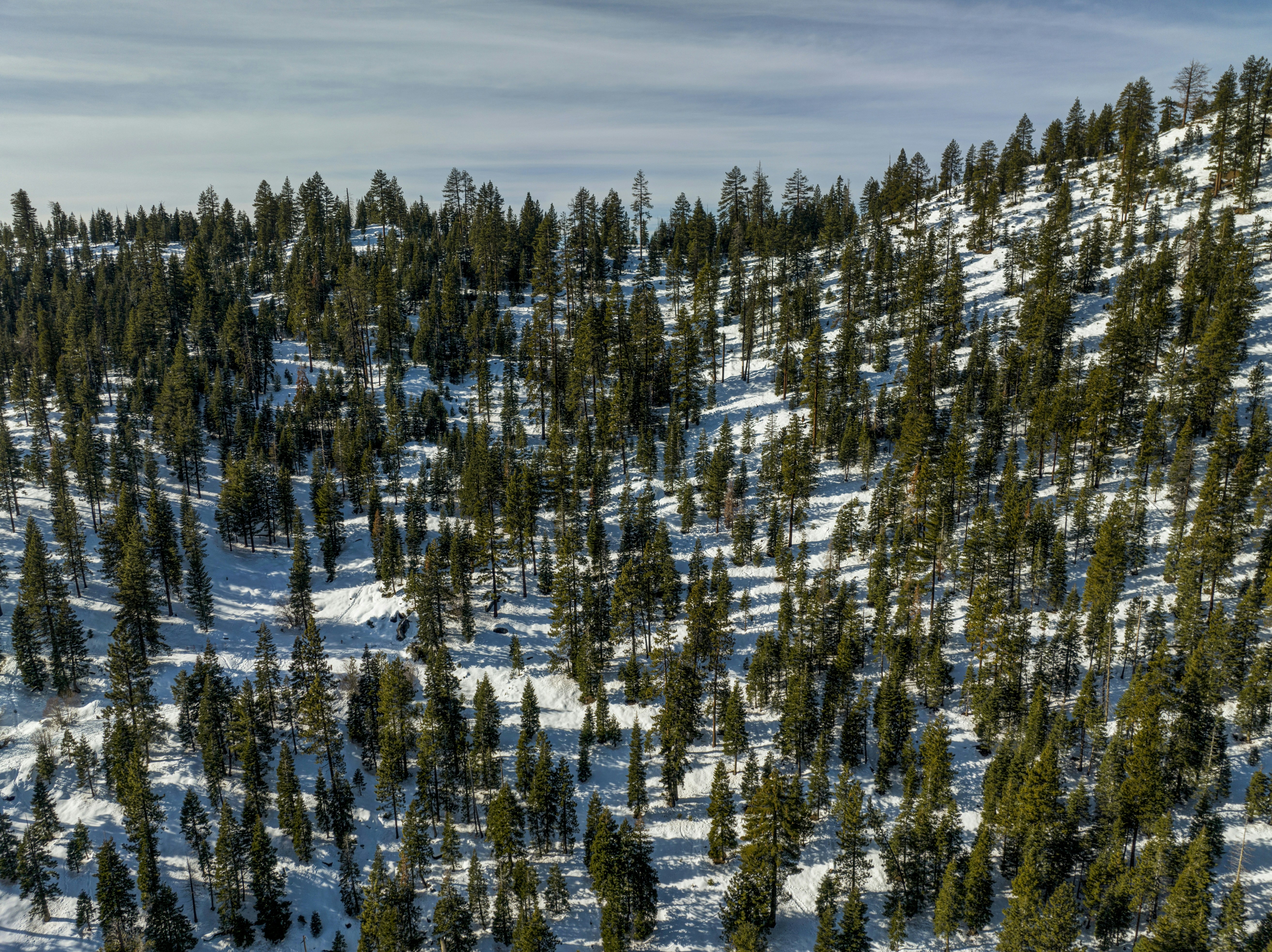 Photo by leo_visions_