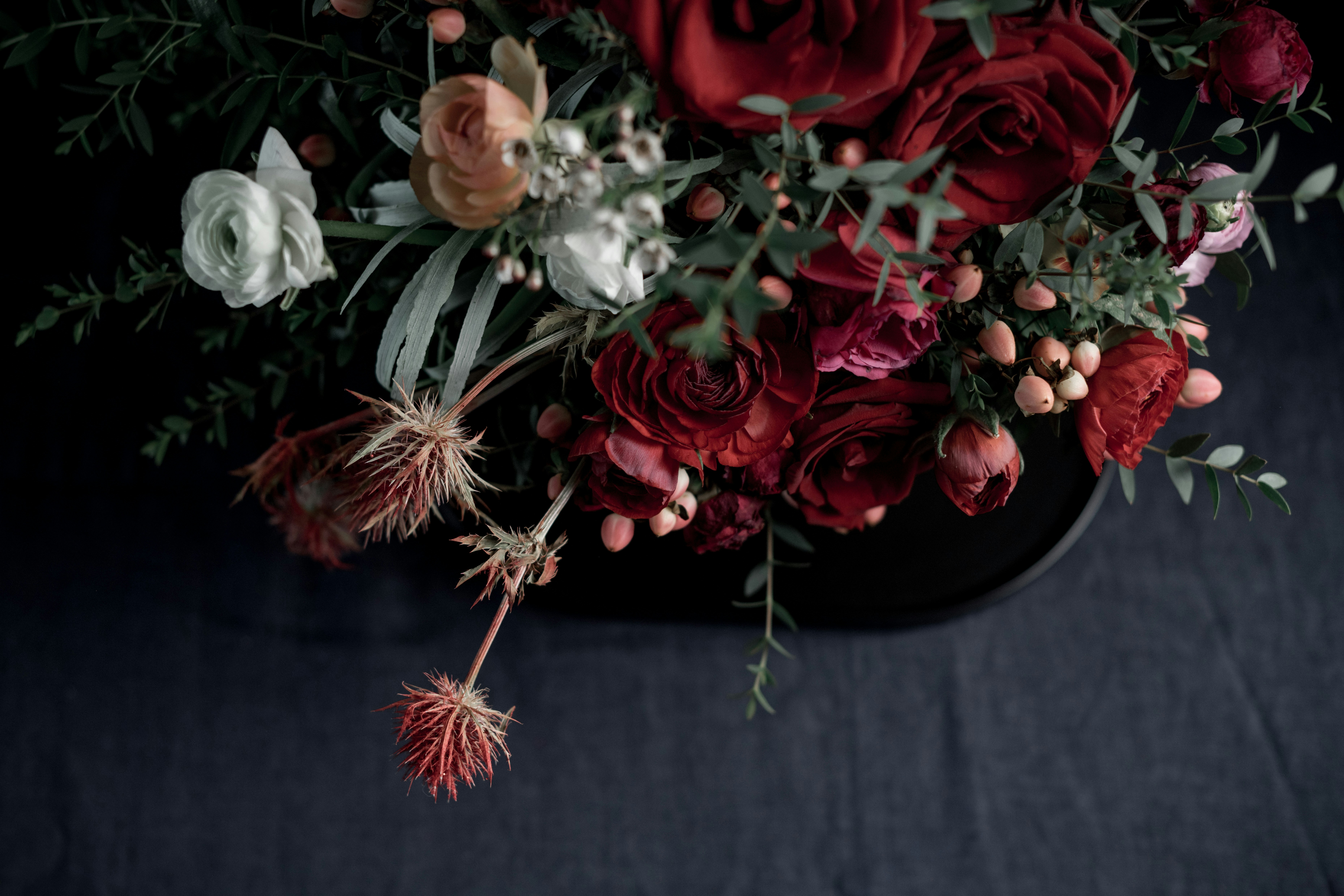 Photo by anitaaustvika