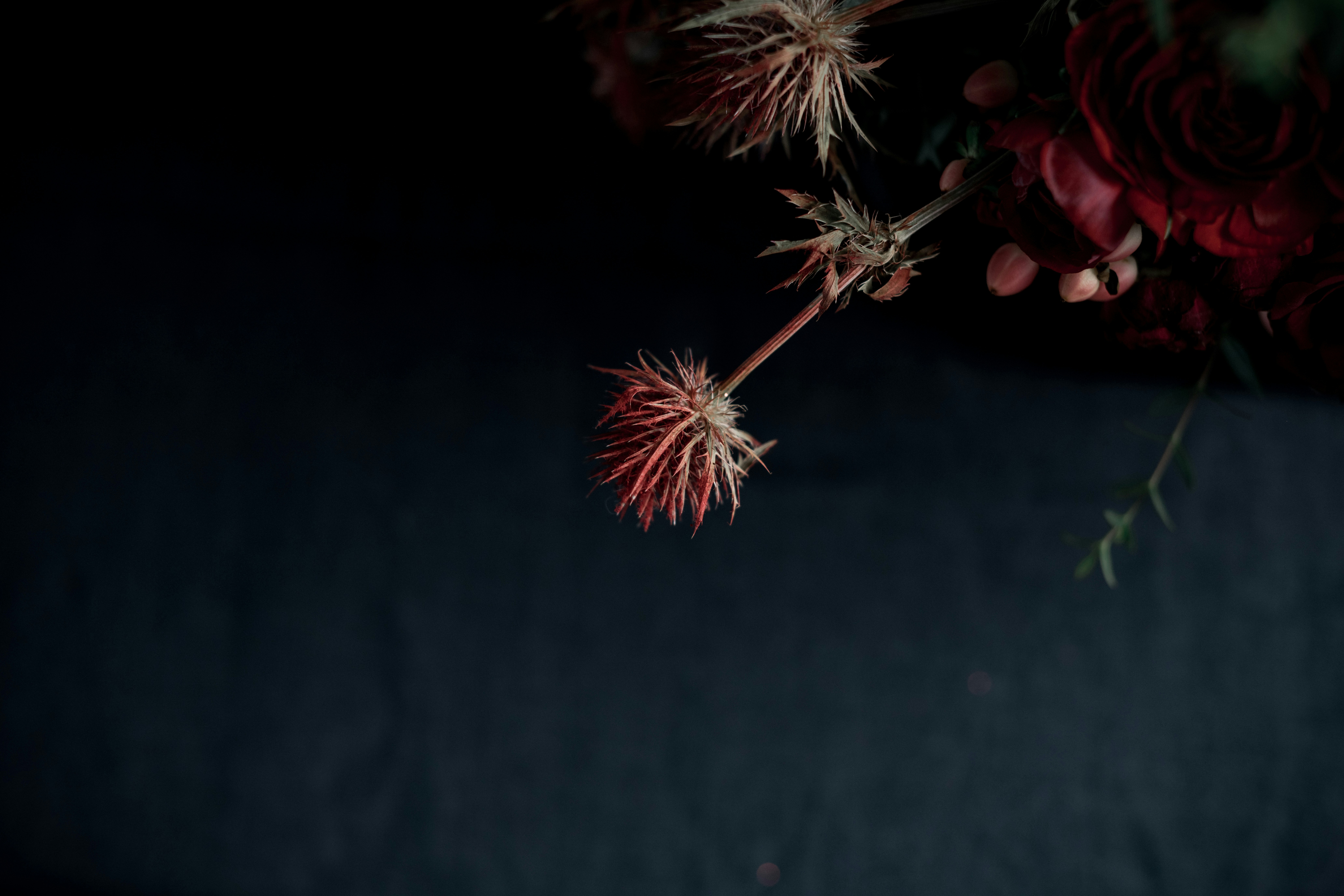 Photo by anitaaustvika