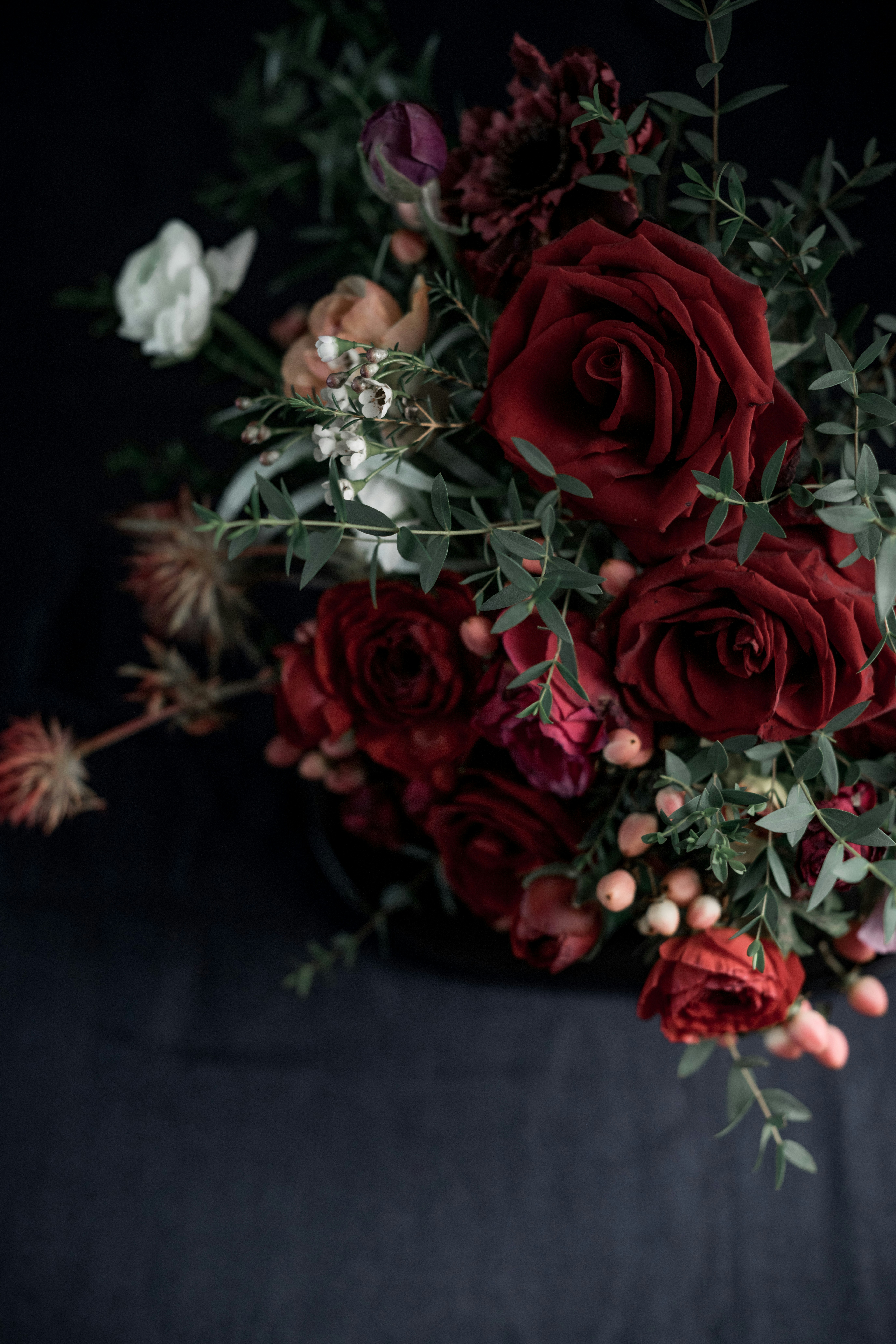 Photo by anitaaustvika