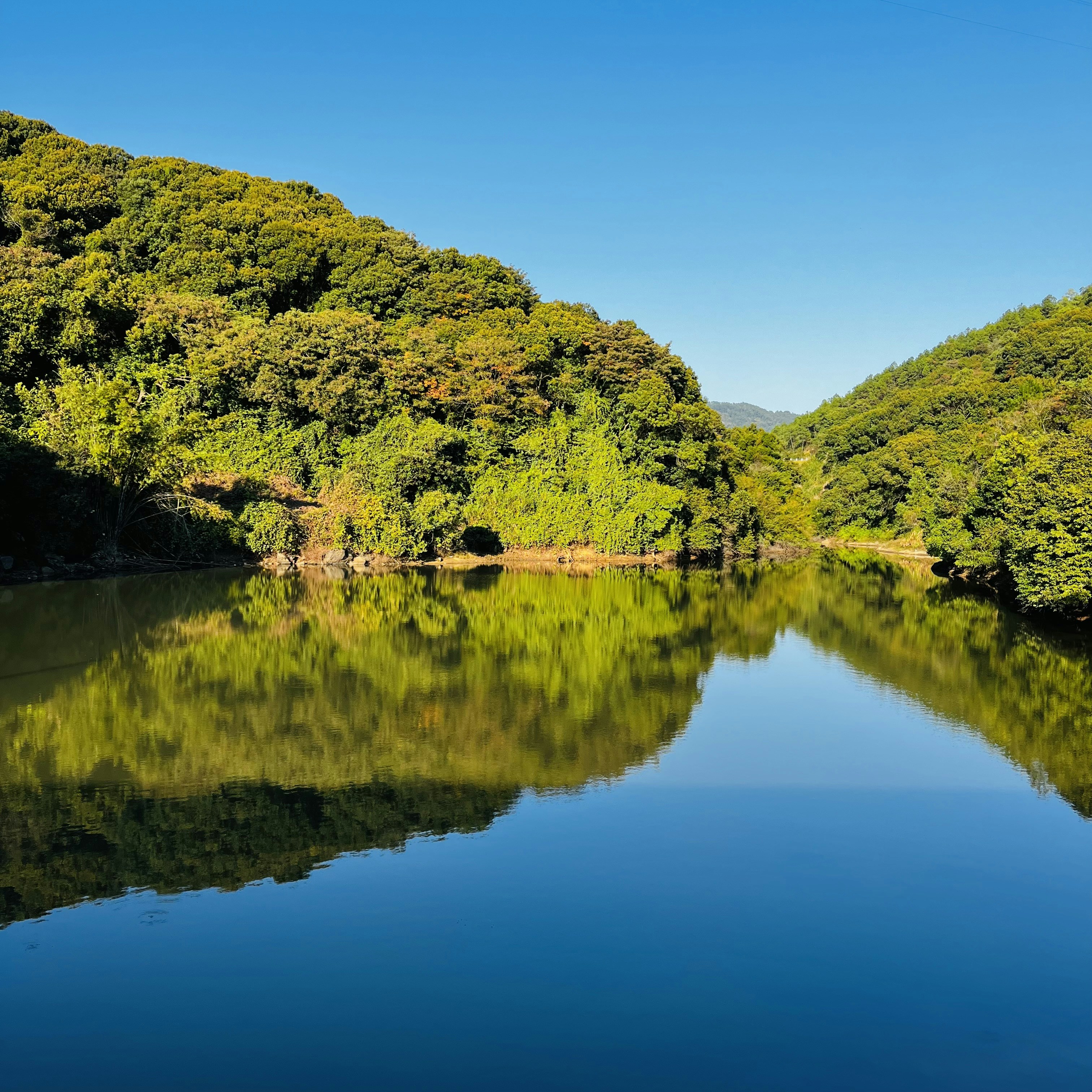 Photo by trainwalker