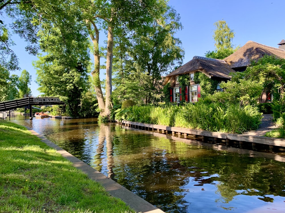 a river running through a lush green park