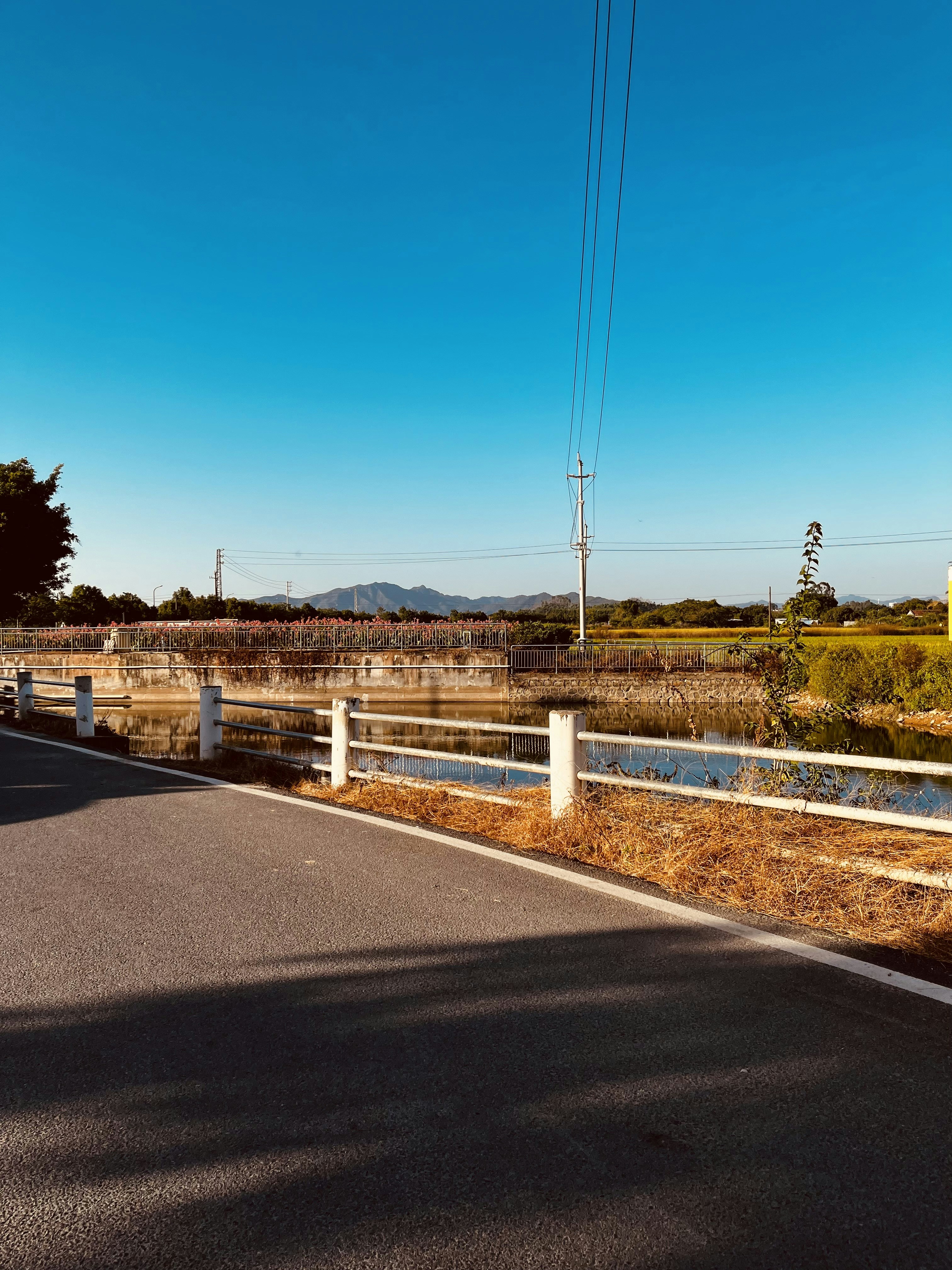 Photo by trainwalker