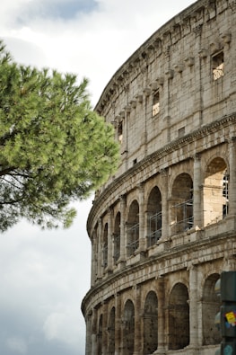 a large stone building with a tree in front of it