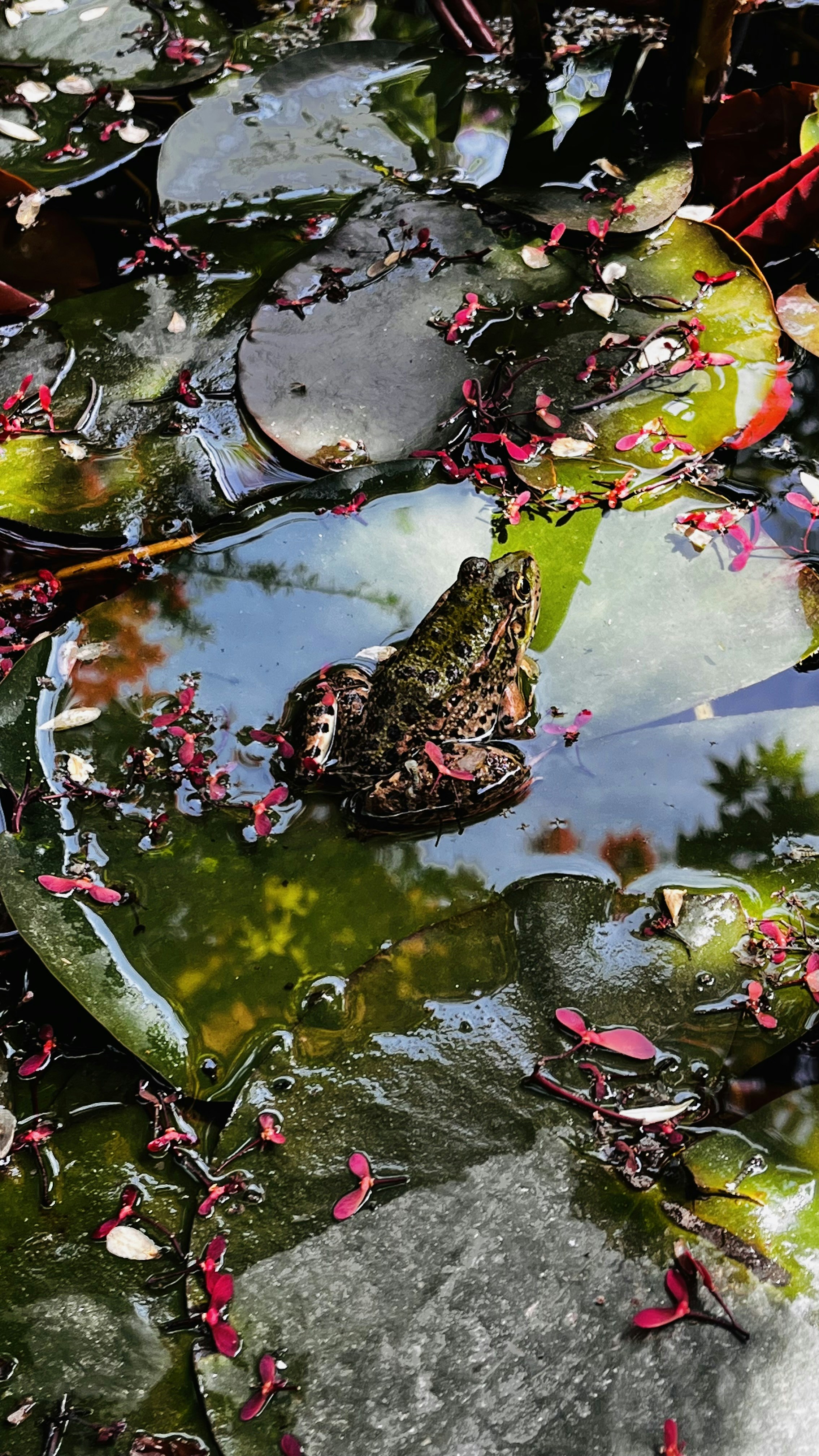 Photo by nimaaghakhani