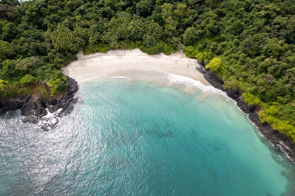 an aerial view of a beach surrounded by trees