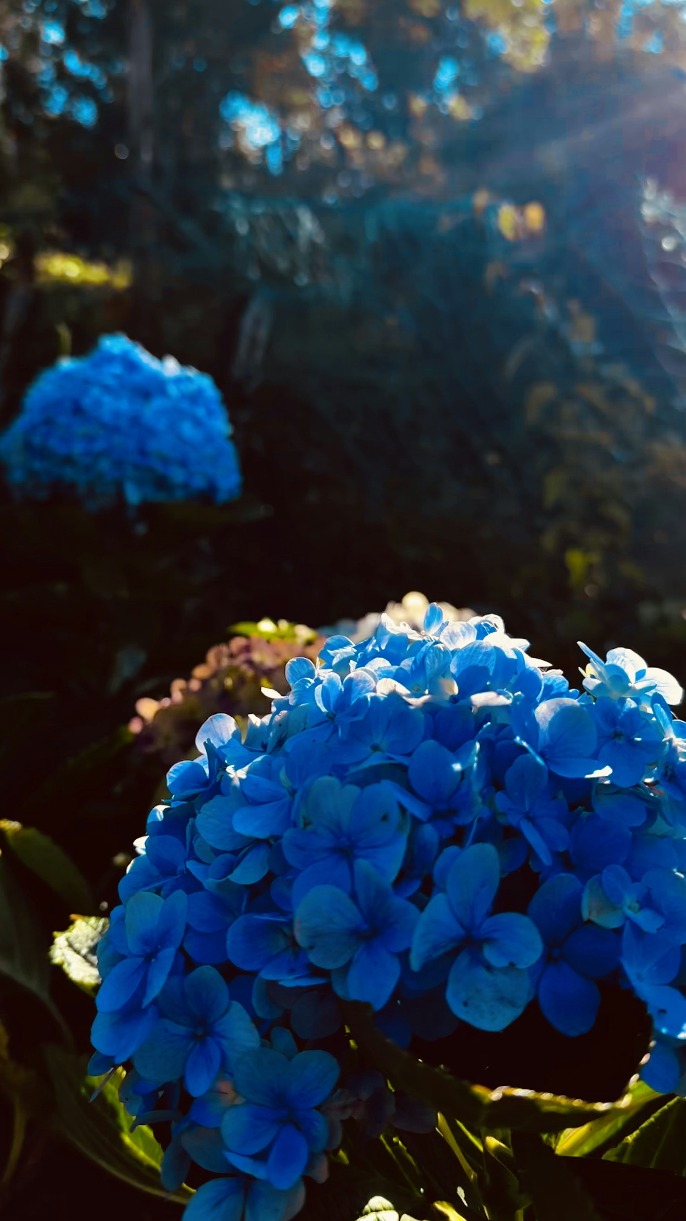 Photo by manwhocodes
