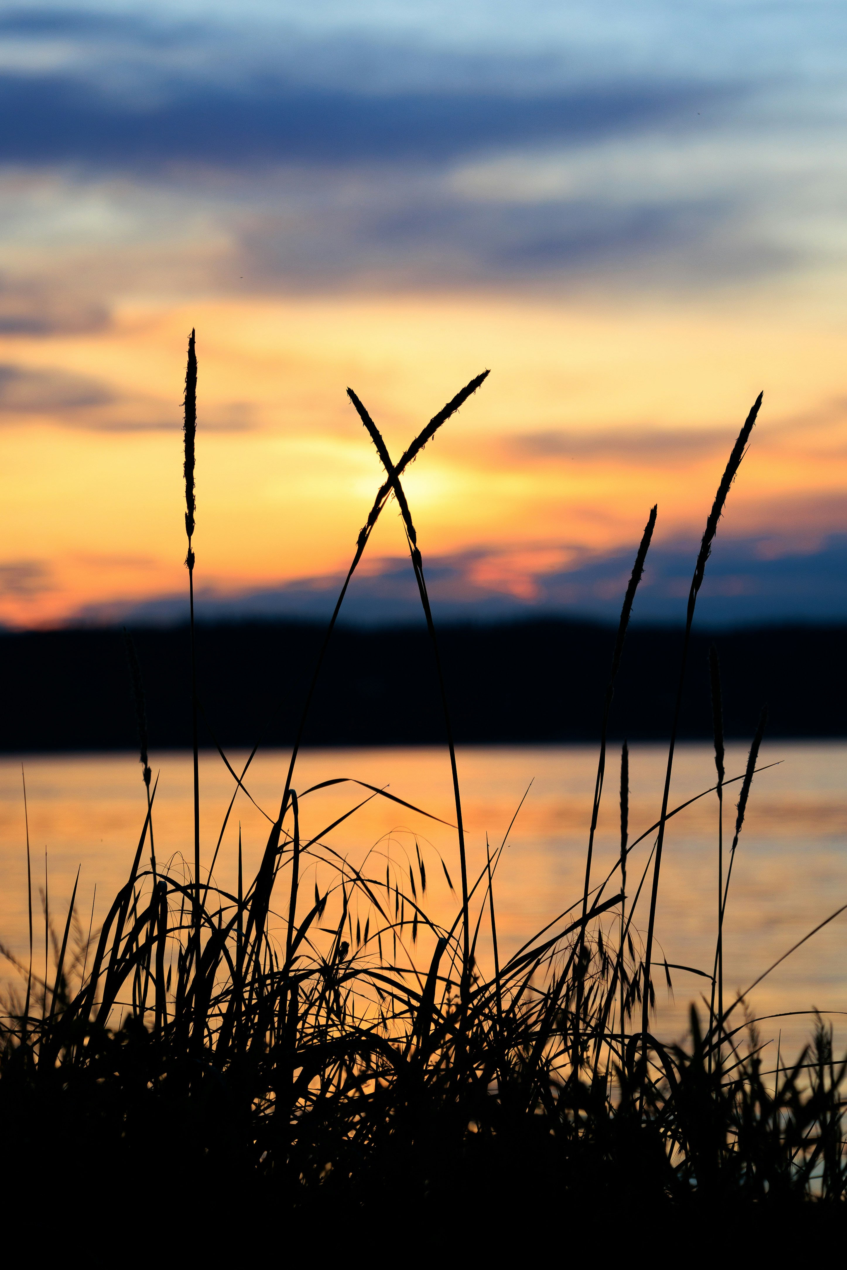 Photo by andybodemer