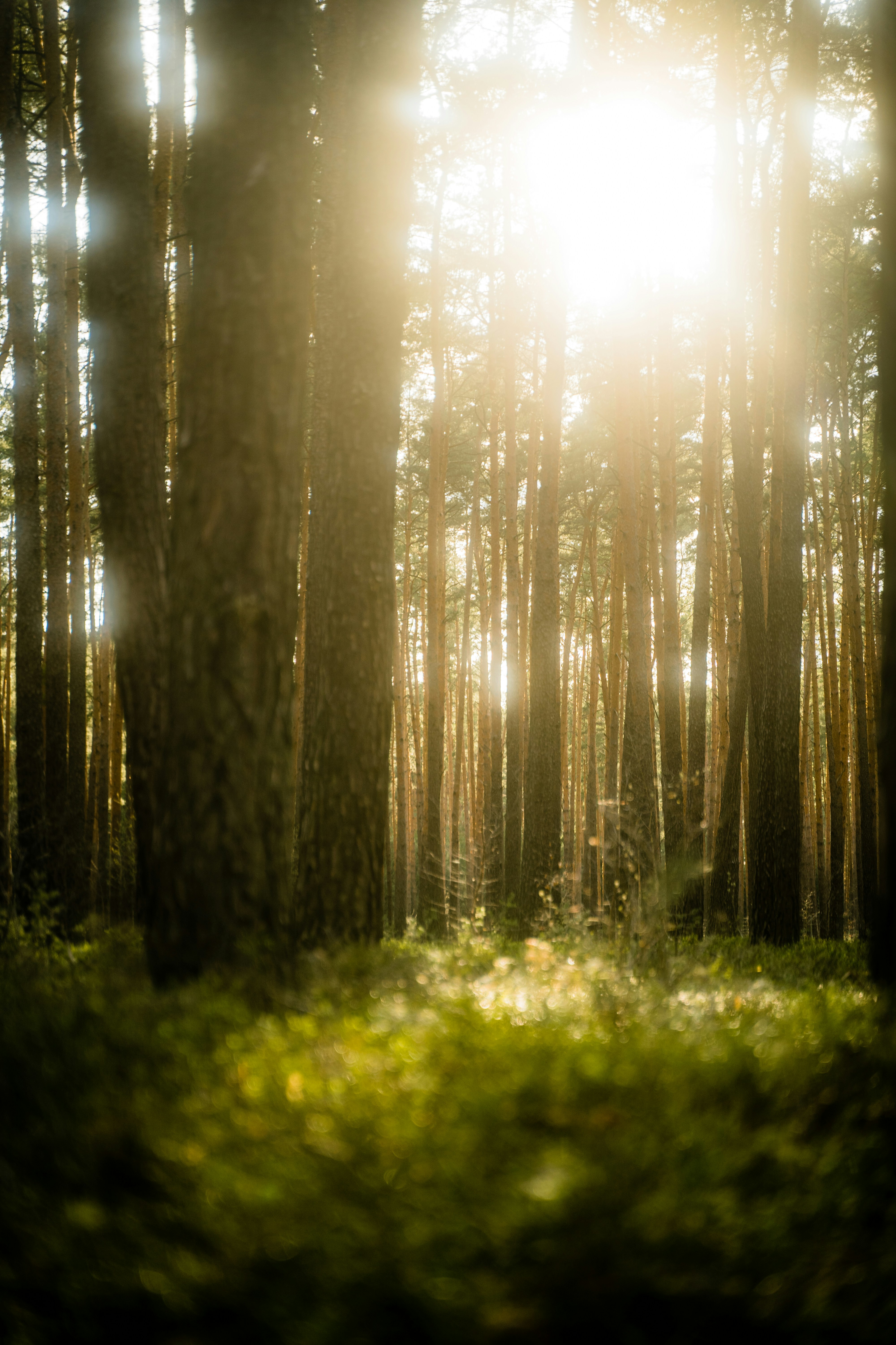 Photo by moritzlange