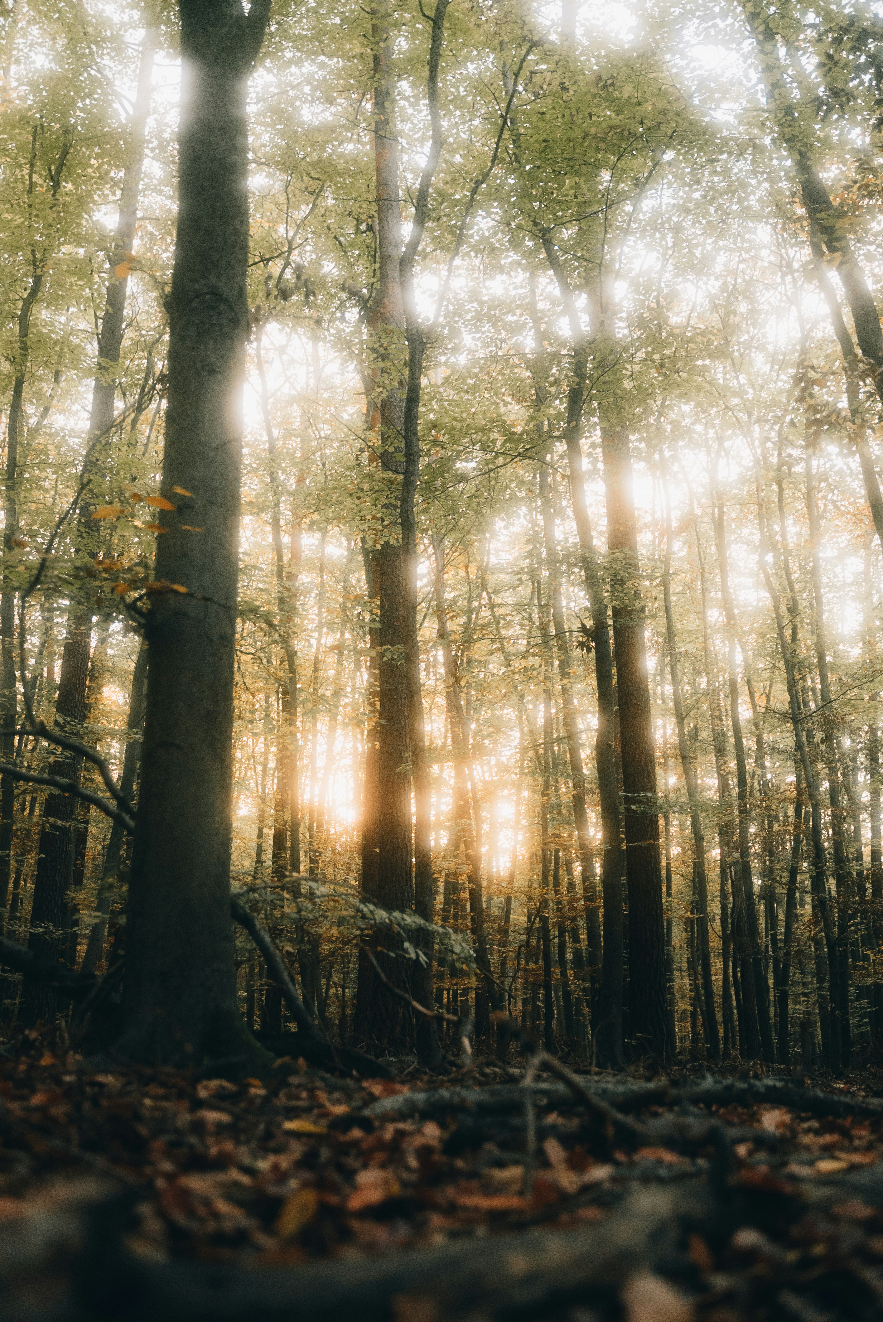 Photo by moritzlange