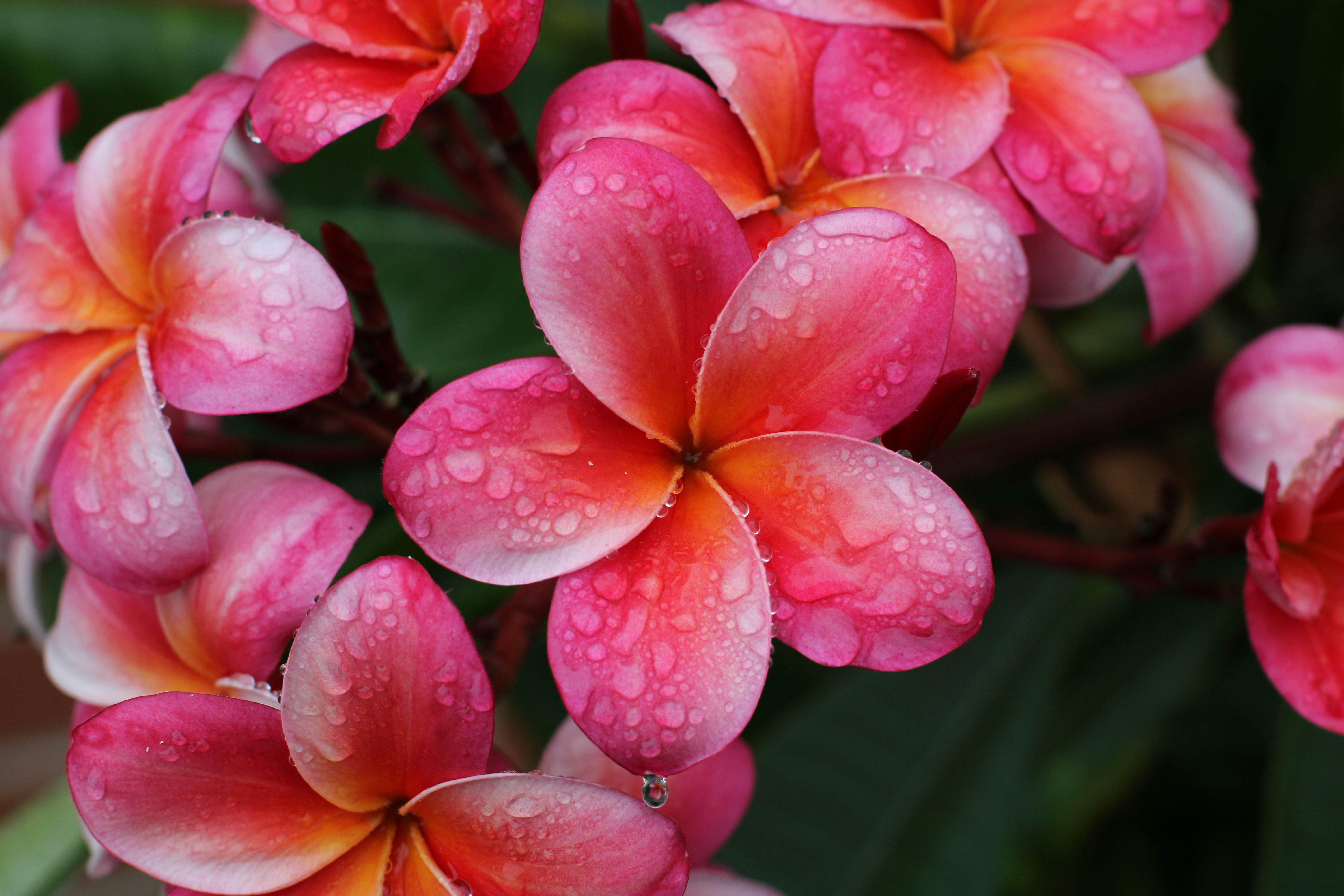 Photo by eliseurchin