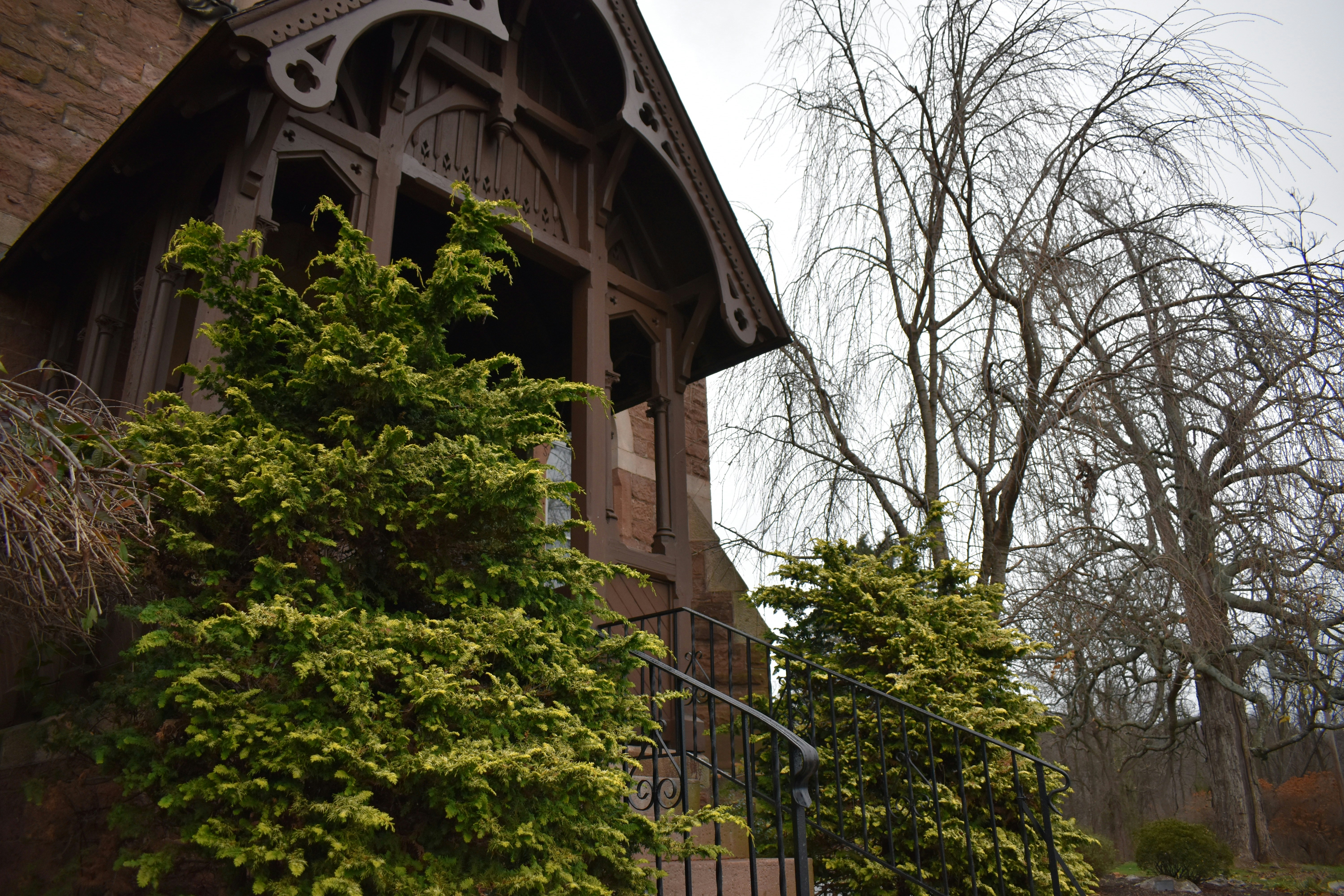 Photo by ghoulington