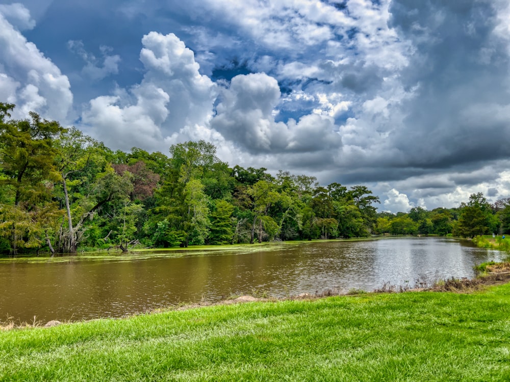 a body of water surrounded by lush green trees