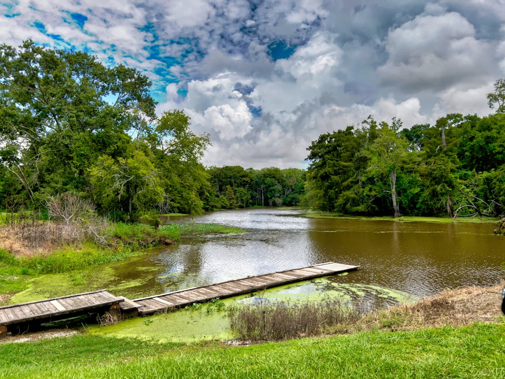 a wooden dock sitting on top of a lush green field