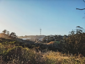 A scenic landscape featuring tall grass, bushes, and trees in the foreground, with rolling hills in the distance. A large radio or television tower stands prominently on a hill. The lighting suggests early morning or late afternoon with soft, warm sunlight creating a serene atmosphere.