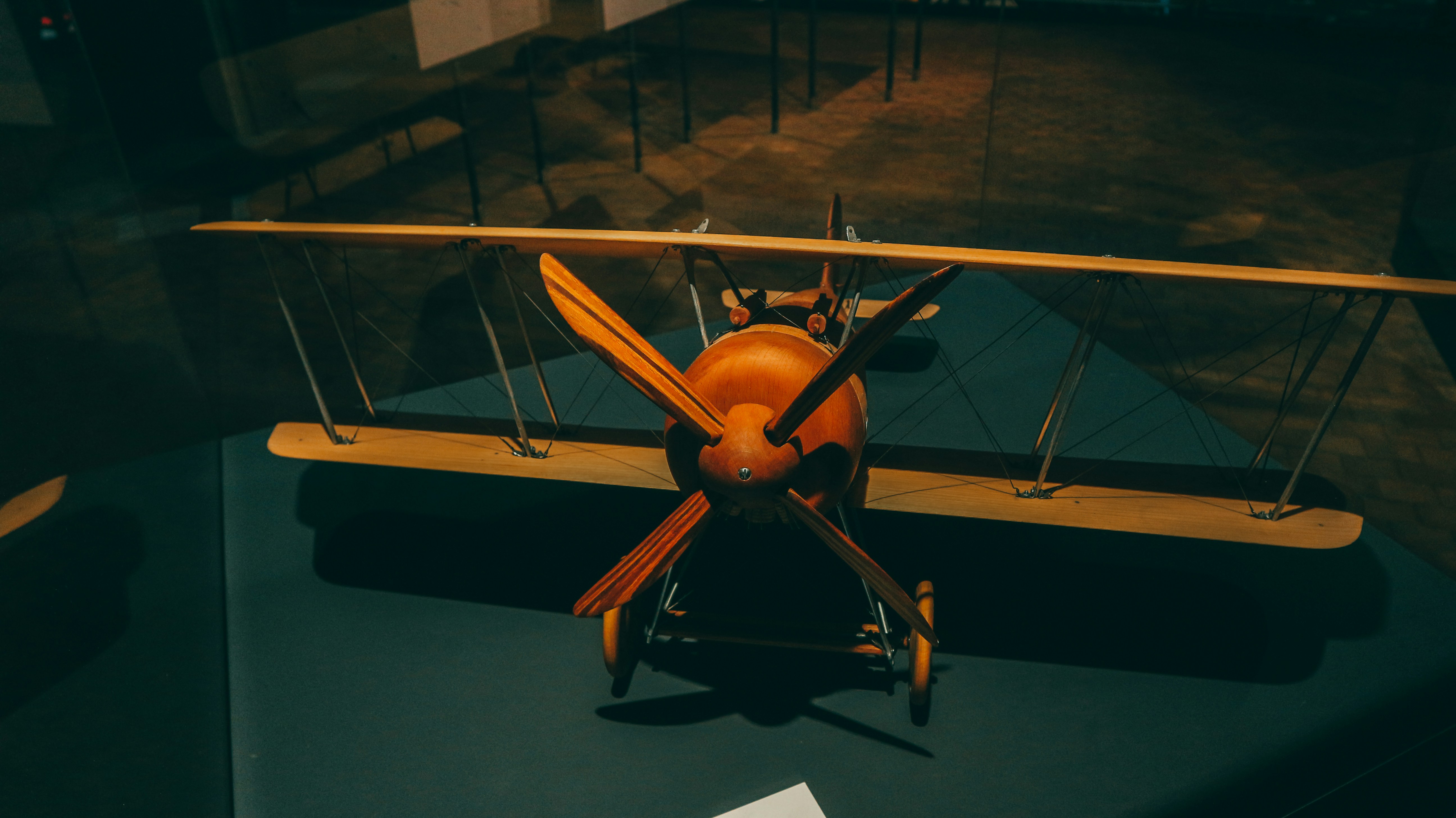 photo-1673039430768-fe09cd15c507?ixid=M3wxMjA3fDB8MXxzZWFyY2h8MTJ8fGluZG9vciUyMGJ1ZyUyMHphcHBlcnxlbnwwfHx8fDE3NTc2ODkzMzh8MA\u0026ixlib=rb-4.1.0