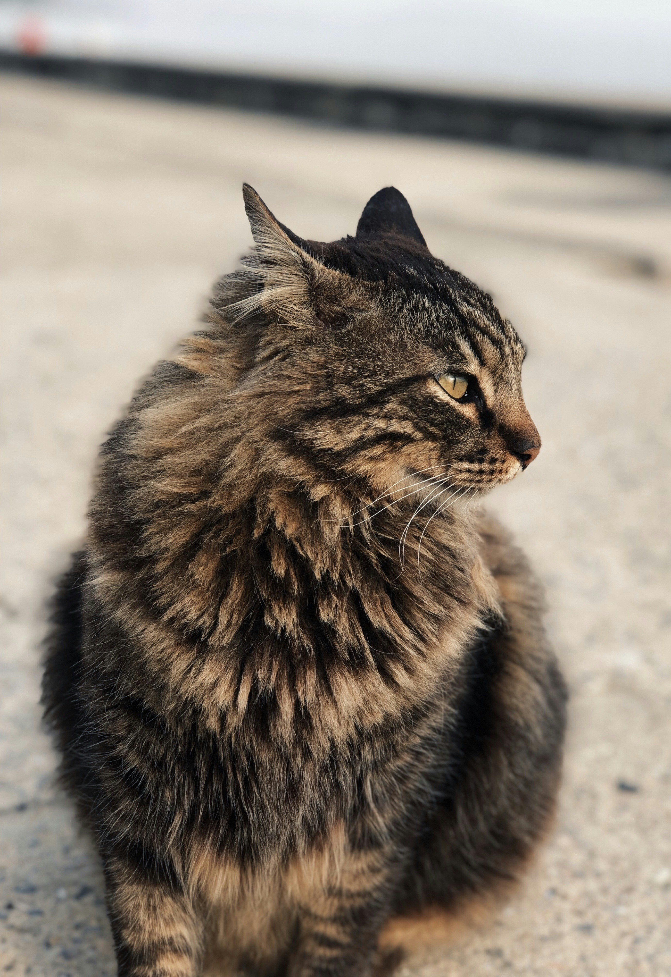 Photo by hazaaldursun