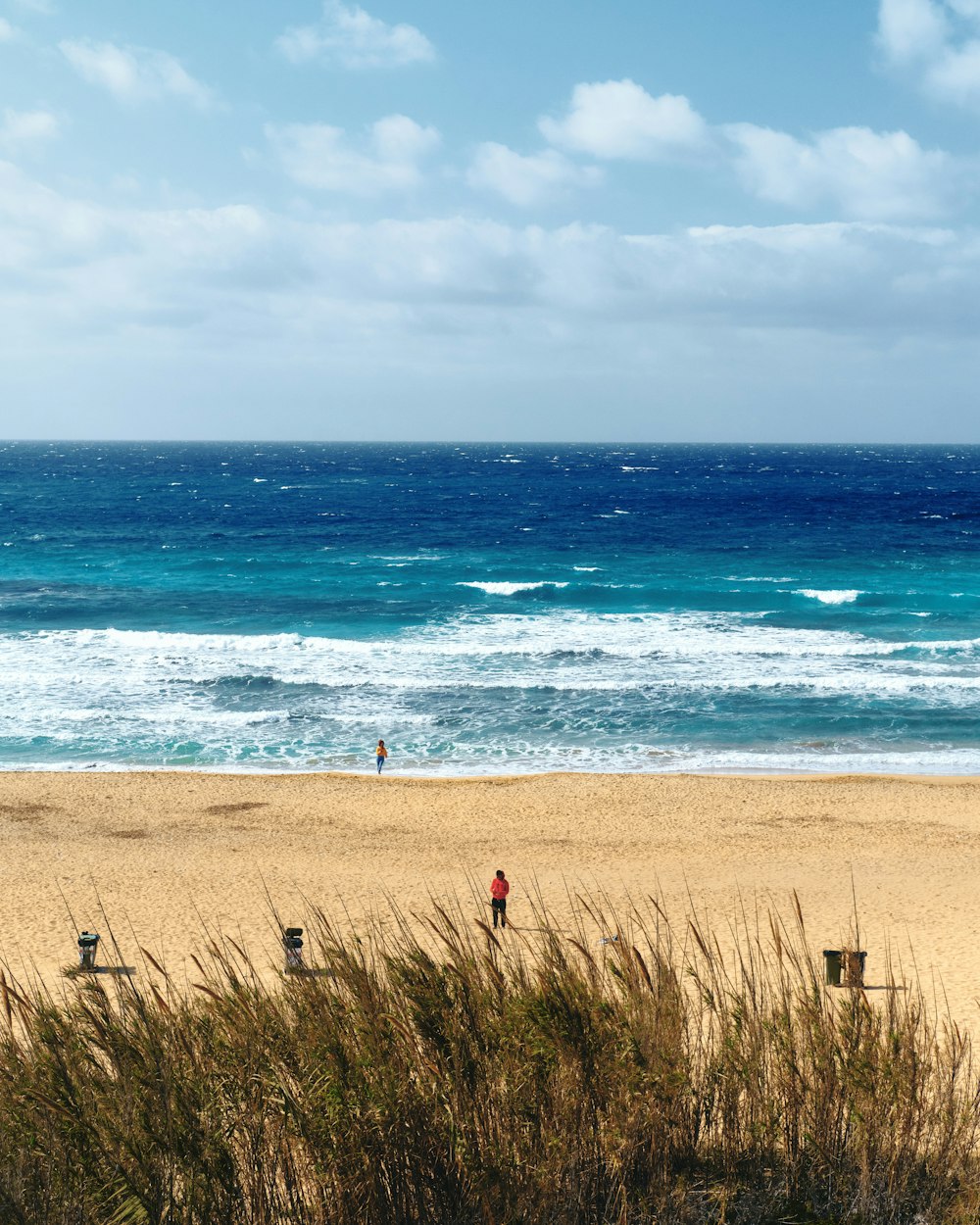 two people walking on a beach near the ocean