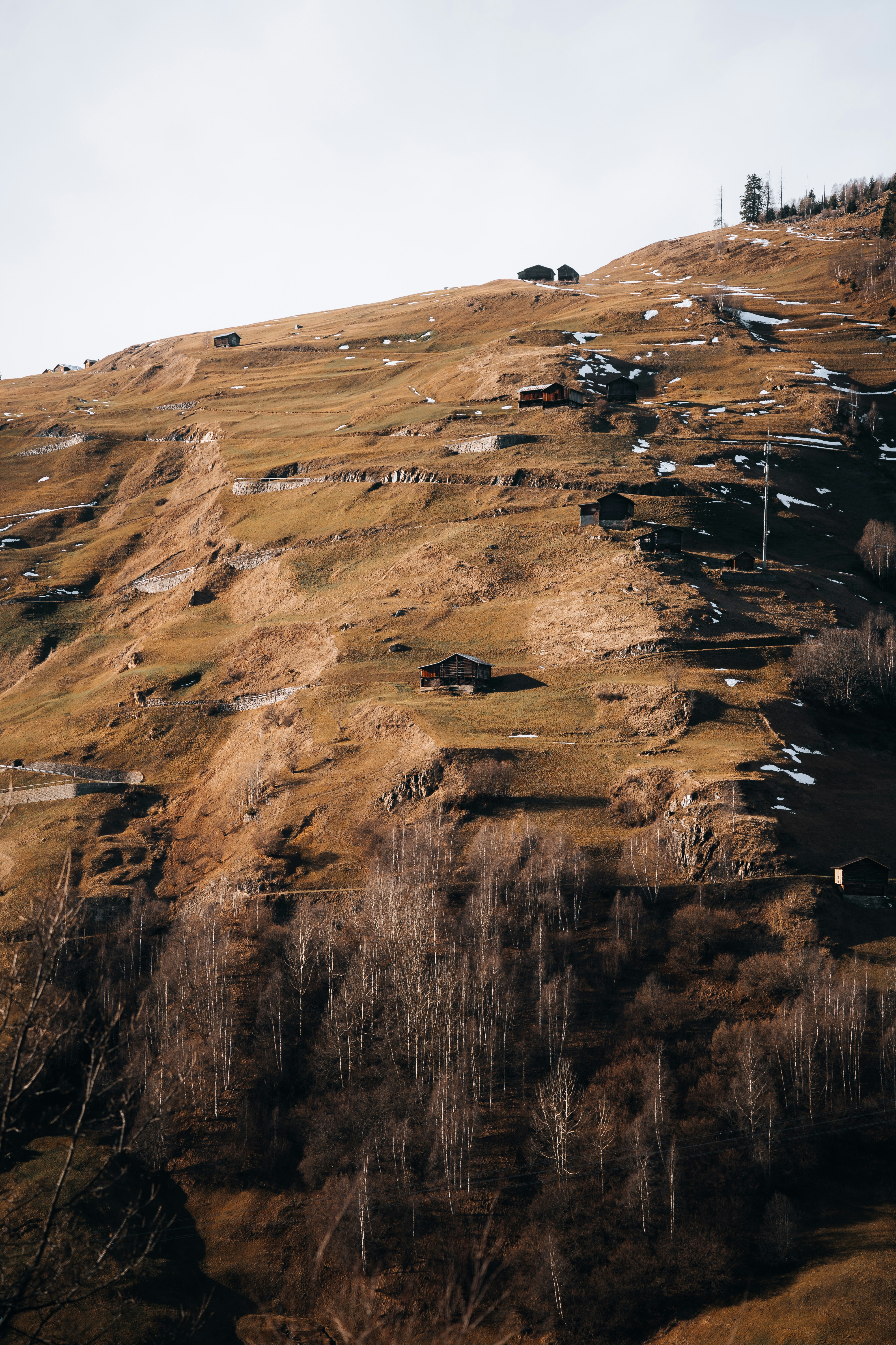 a hill covered in brown grass and trees