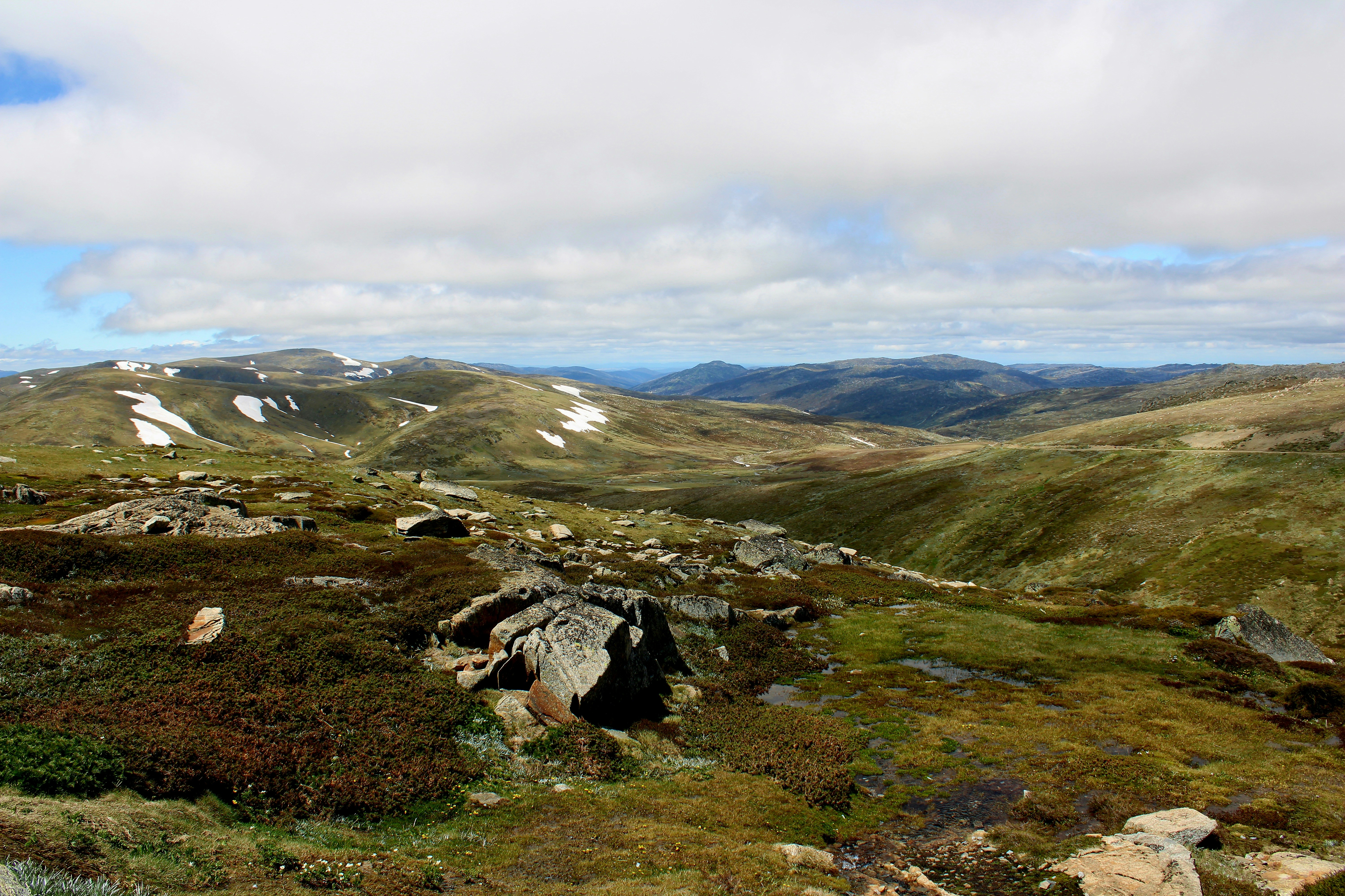 Photo by olivia_hibbins