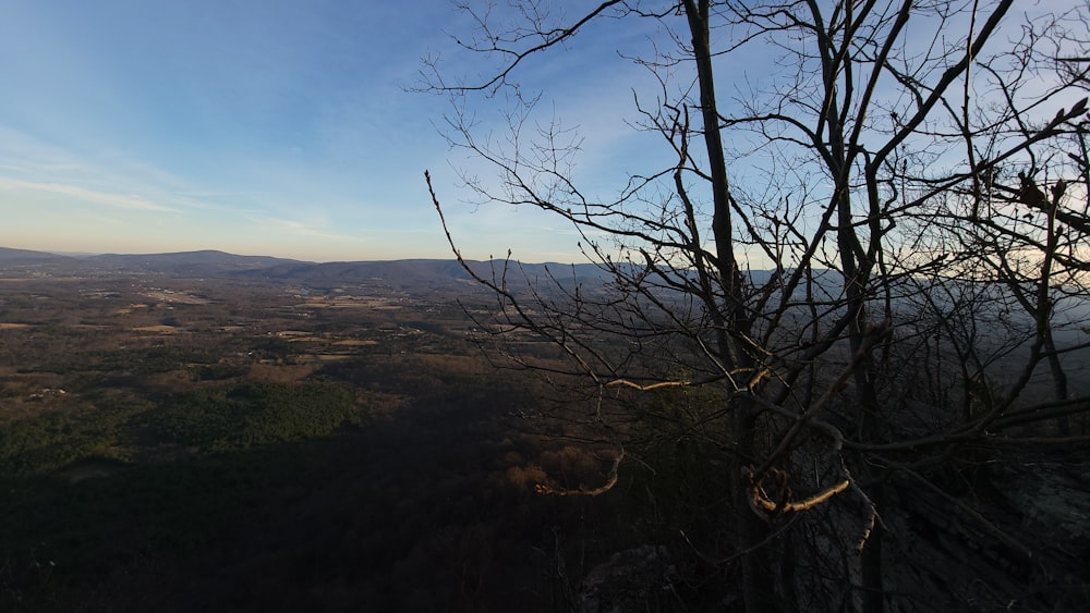 a view of a valley from a hill top