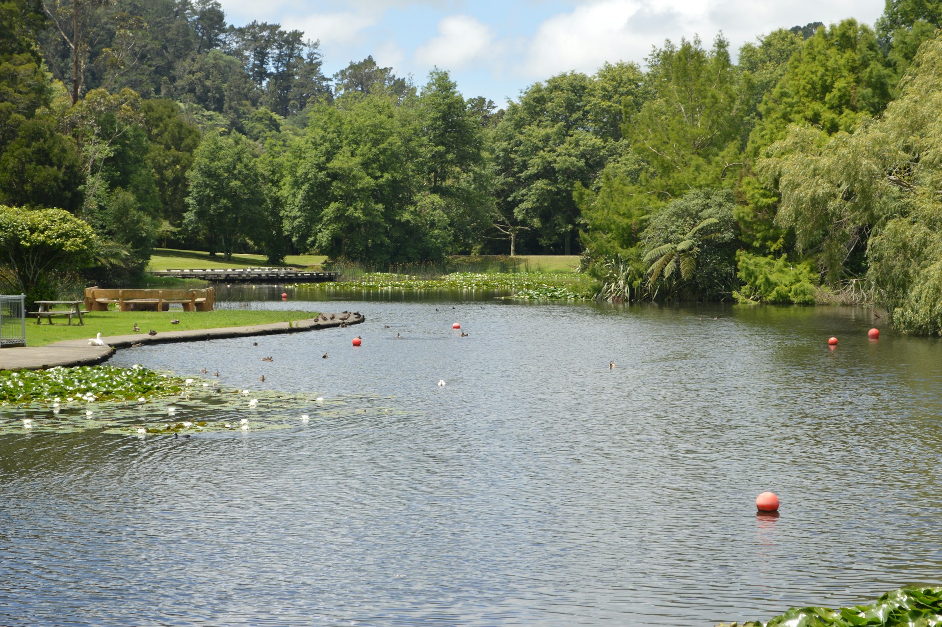 Families enjoying a peaceful picnic by the clear waters of a natural pond inside the resort, framed by vibrant native plants.