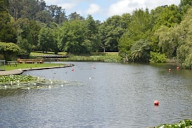 A serene pond surrounded by lush greenery with trees reflecting in the water. There are some red buoys floating in the pond, and water lilies are visible near the shore. A picnic table and benches can be seen on the grassy area to the left, creating an inviting atmosphere for relaxation.