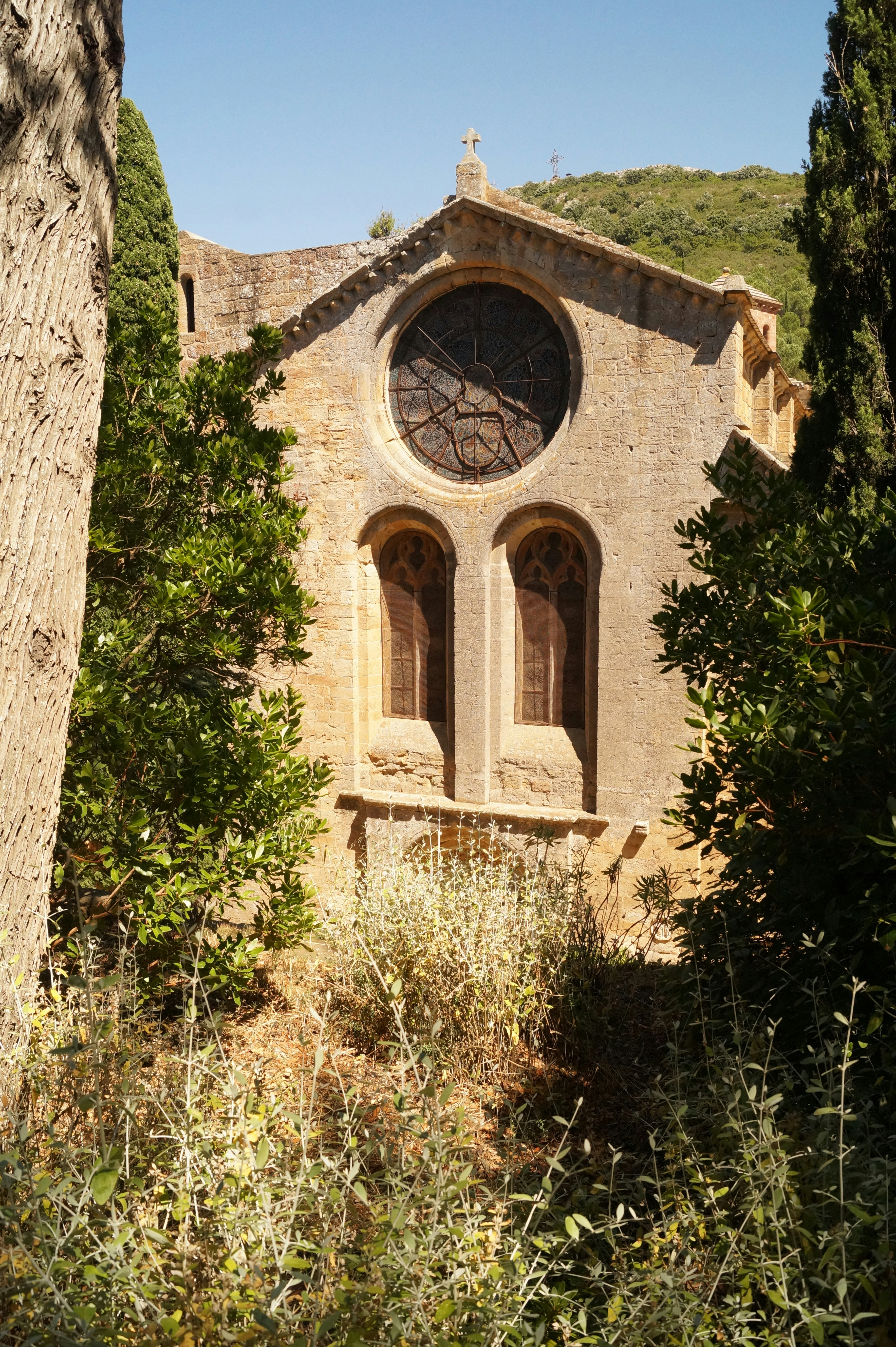 Photo by frank_kirgis