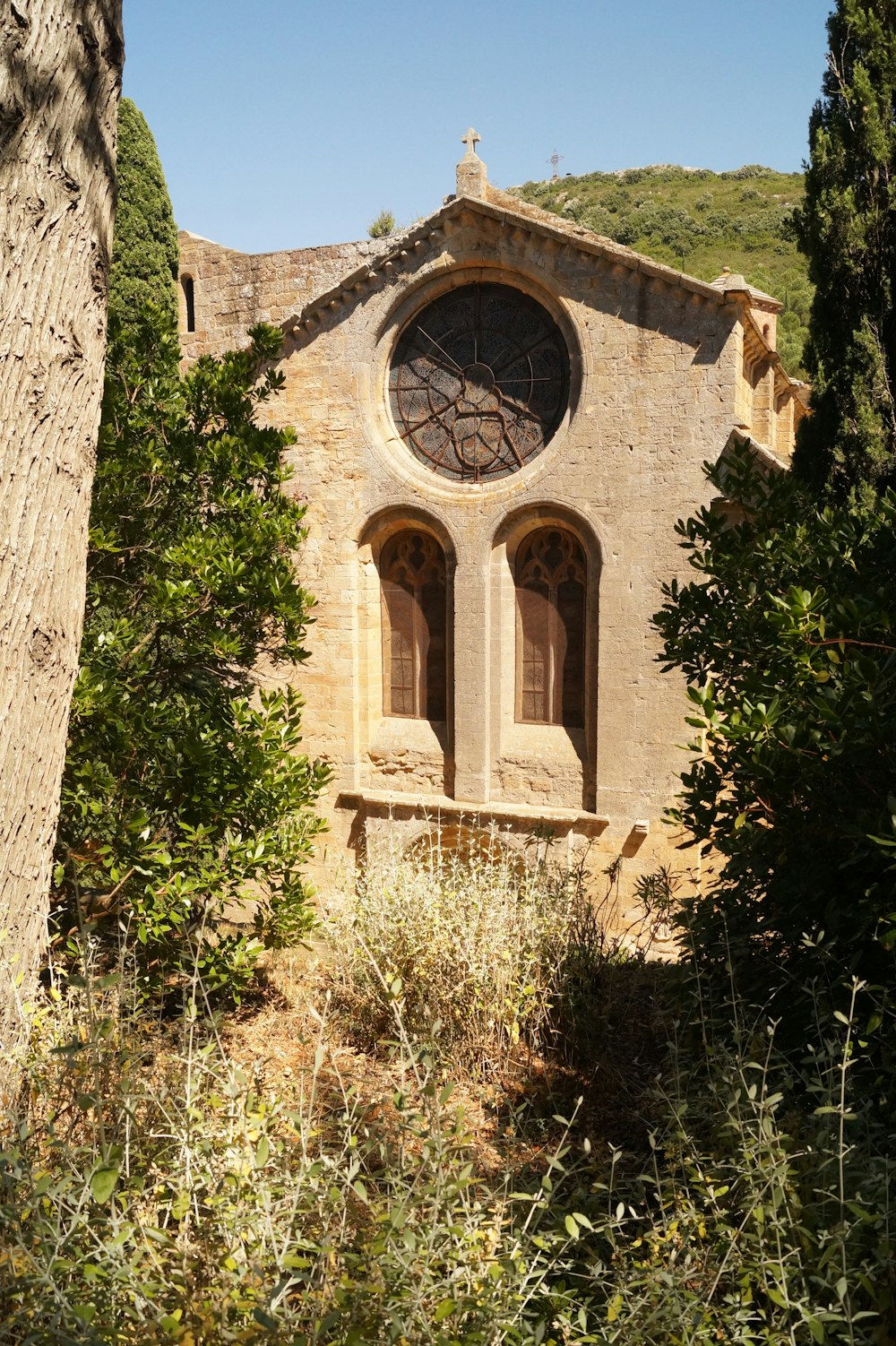 an old building with a window in the middle of a forest