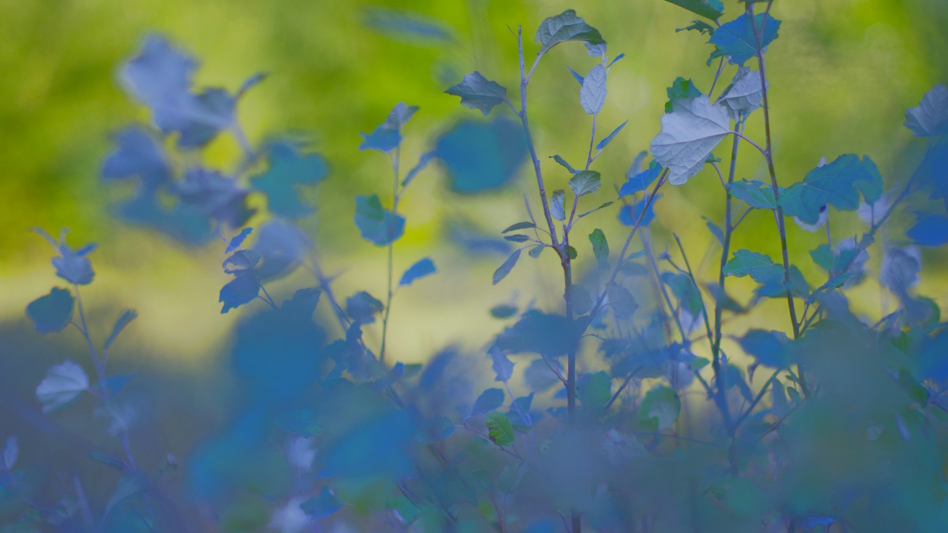 woman wearing yellow long-sleeved dress under white clouds and blue sky during daytime