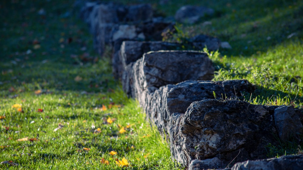 a row of rocks sitting on top of a lush green field