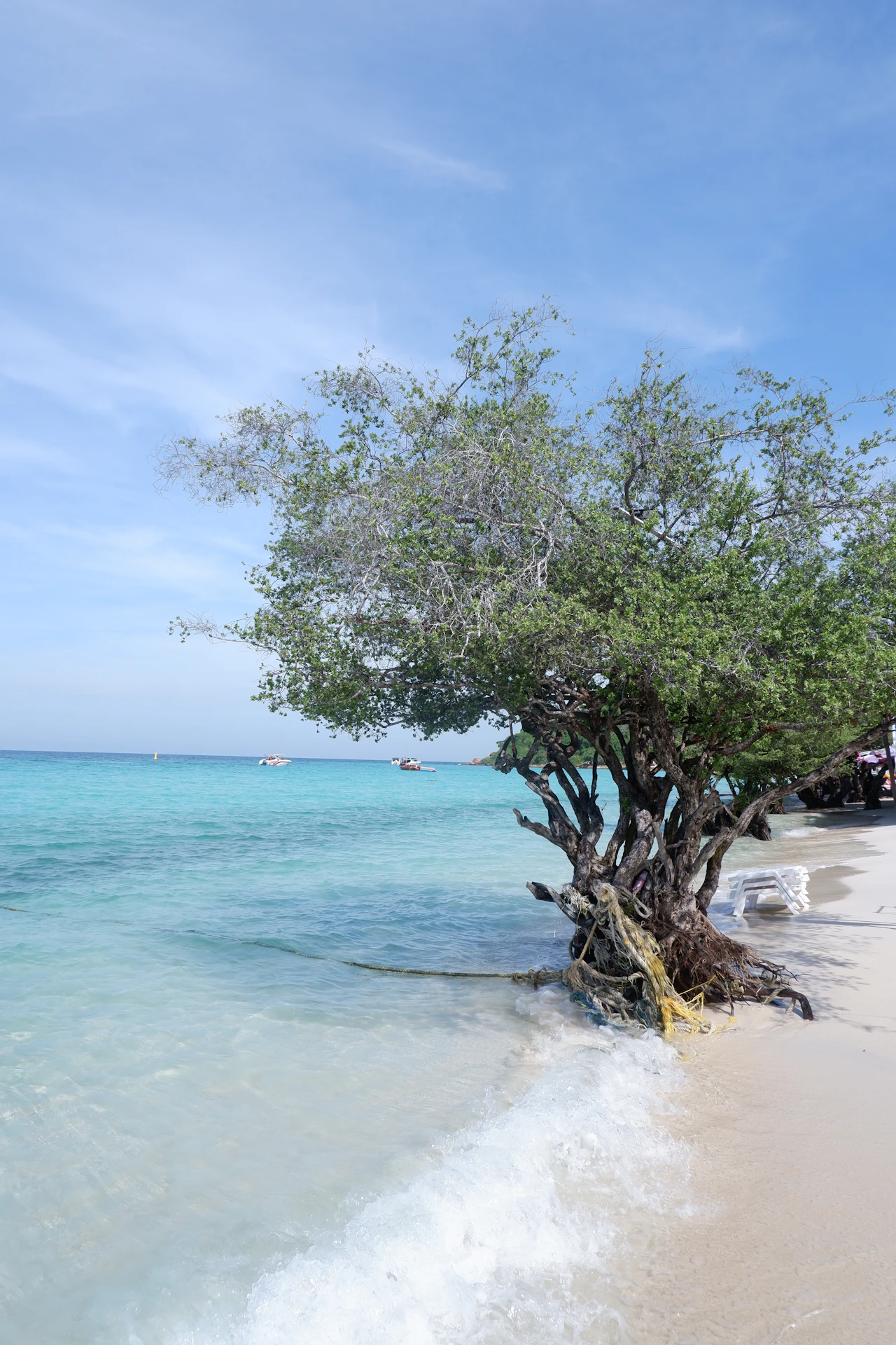 พัทยากับเด็ก: ชายหาดสถานที่ท่องเที่ยวและการวางแผนการเดินทางแบบไปเช้าเย็นกลับ, คู่มือจุดหมายปลายทางจาก Tripnatic