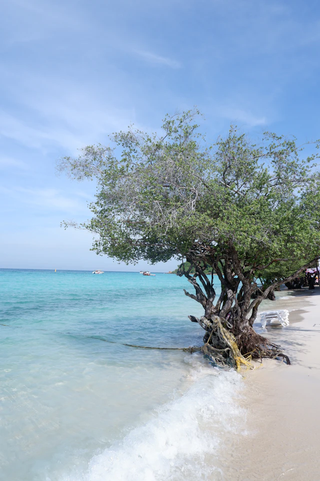 Pattaya with kids: beaches, attractions and day-trip planning, travel inspiration