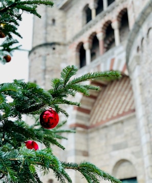 A Christmas tree branch adorned with red ornaments is in the foreground, with a historic stone building featuring arched windows in the background.