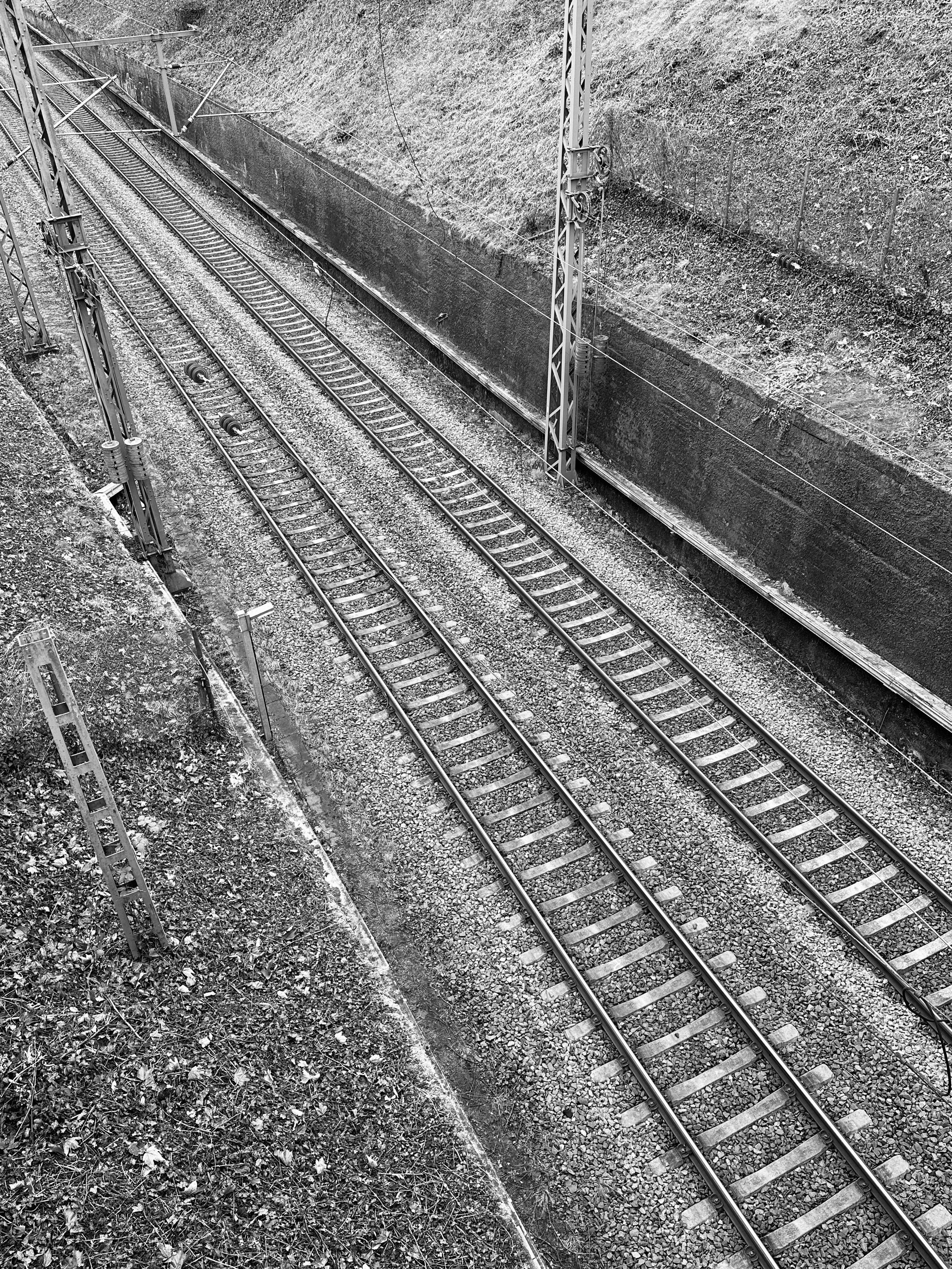 The railroad tracks seen from Steigerweg near the Bergfriedhof.