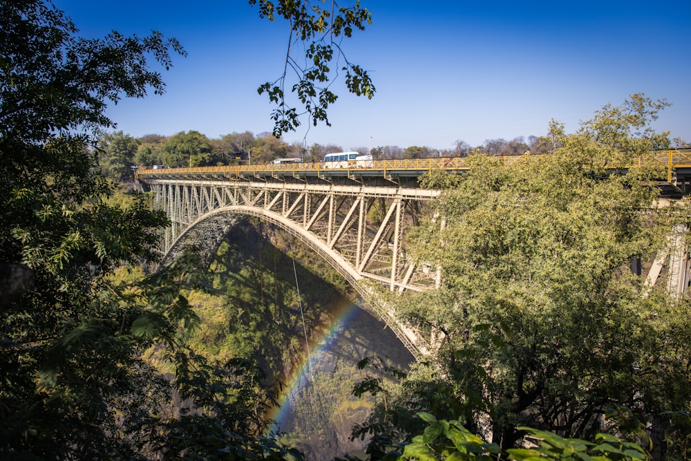 a bridge over a river with a train on it