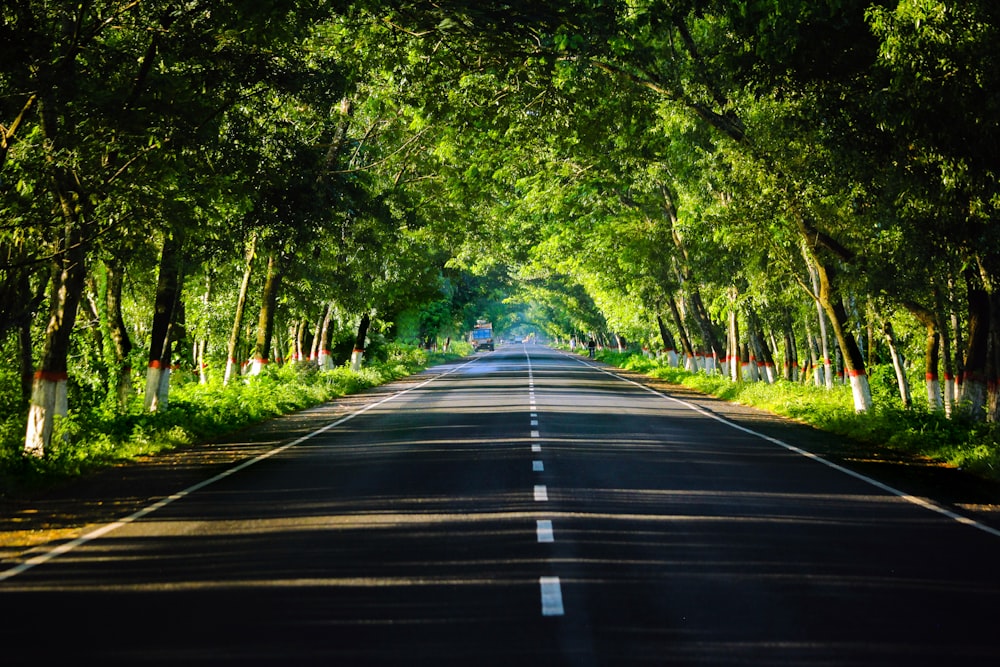 an empty road surrounded by trees and grass