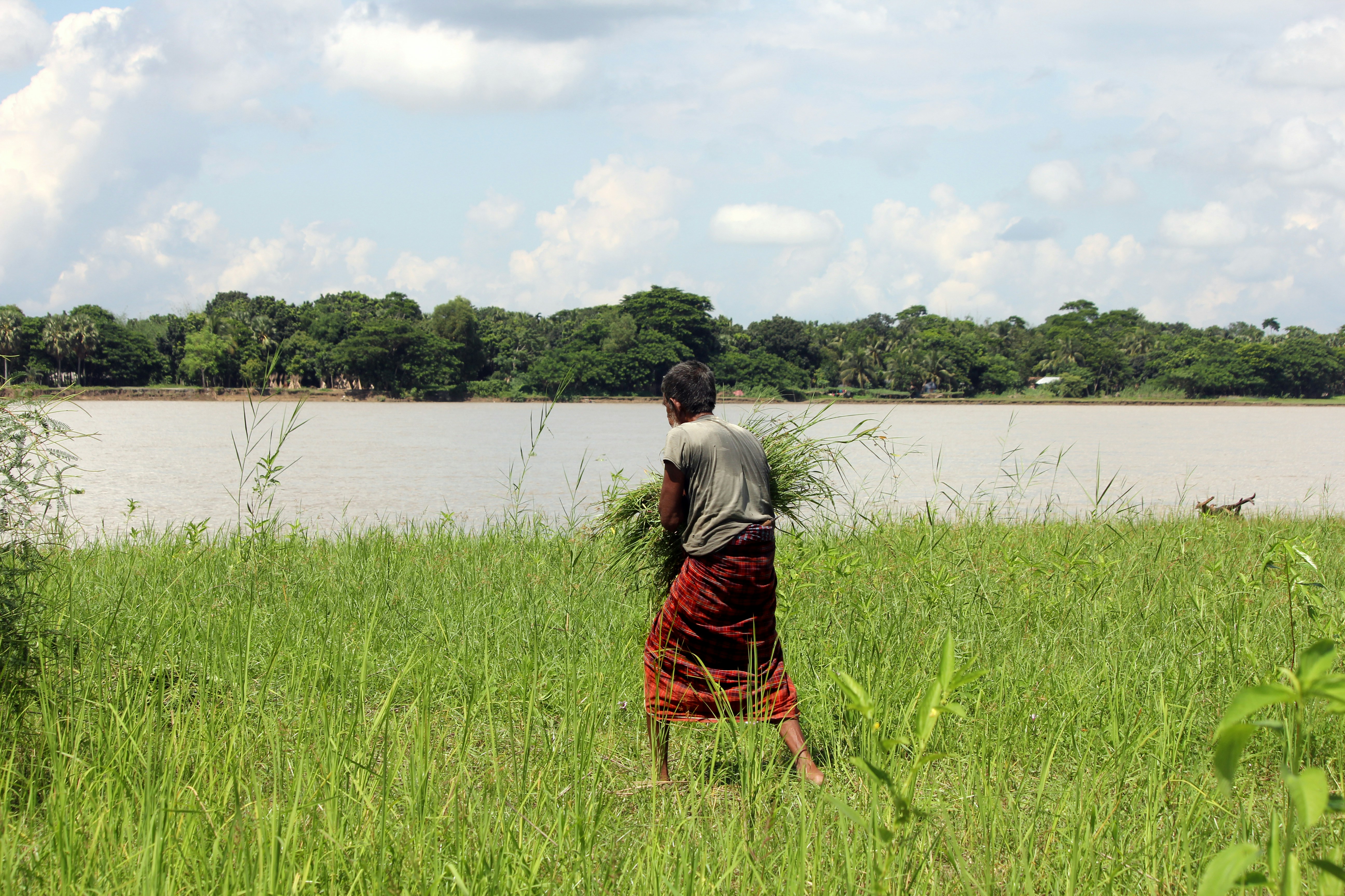 Photo by sheikhnayimhasan