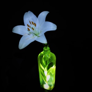 Herbal Vitality Drops