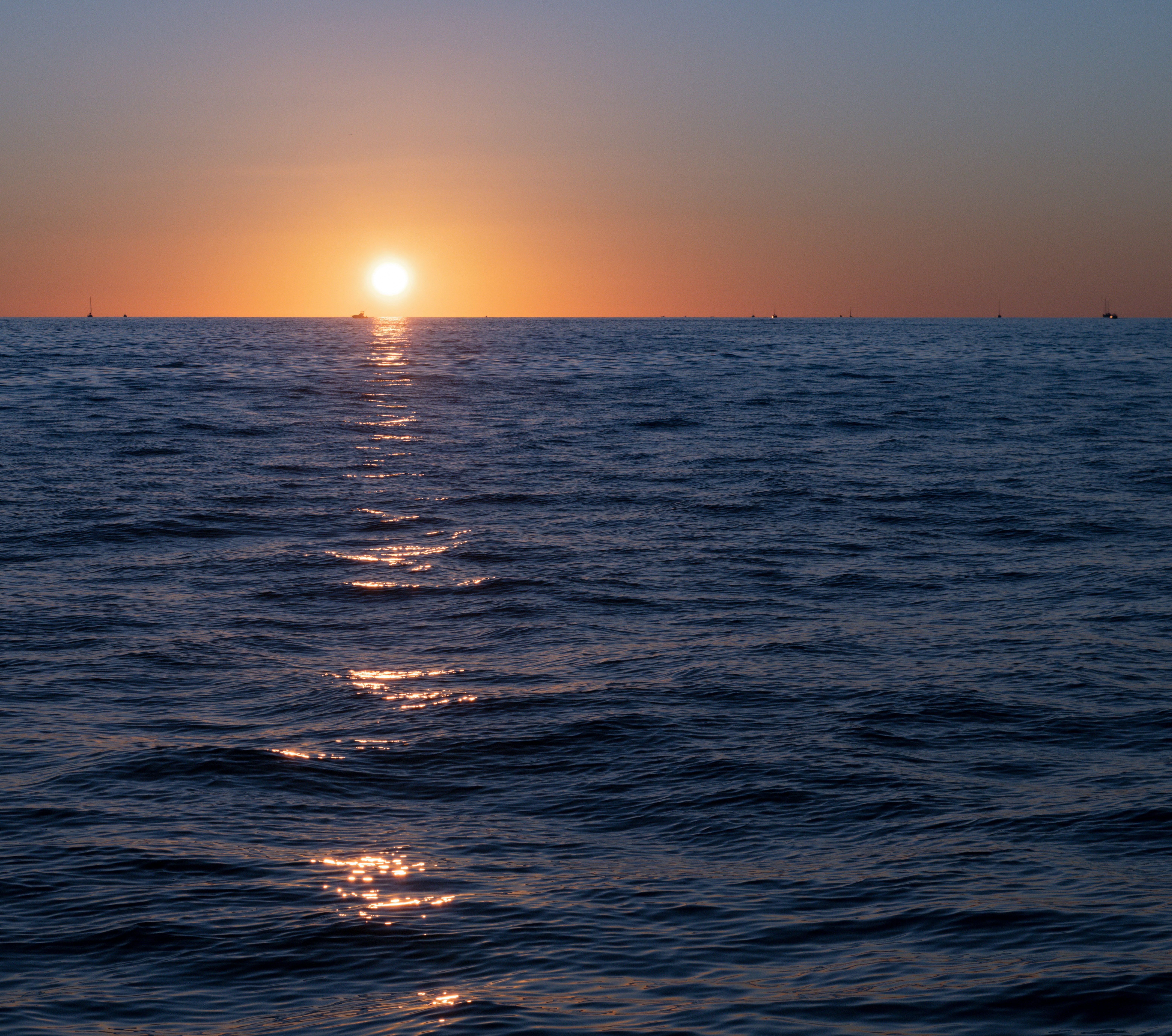 Photo by sriniunsplash