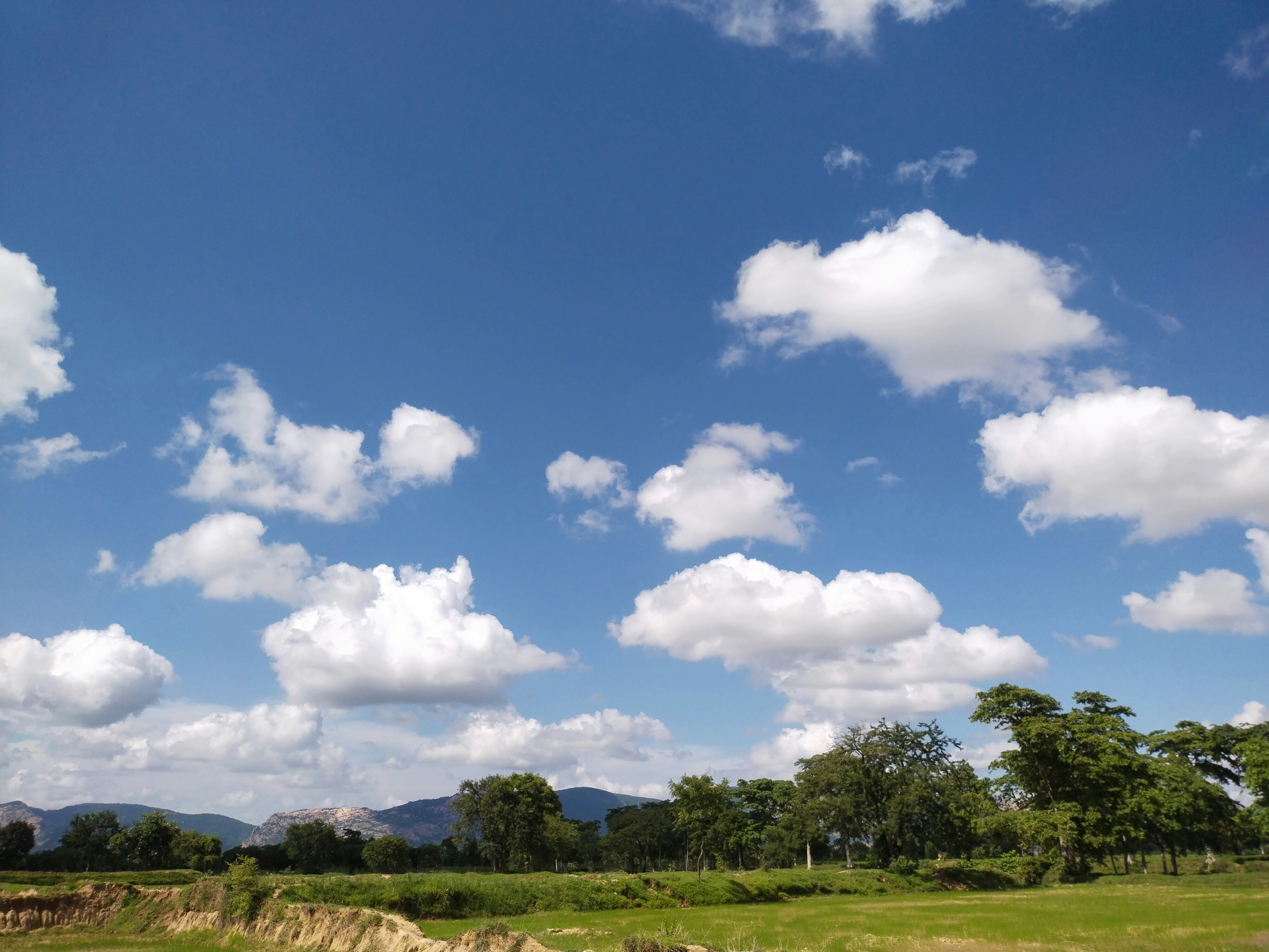 Bright cartoon clouds and rain drops over a colorful landscape