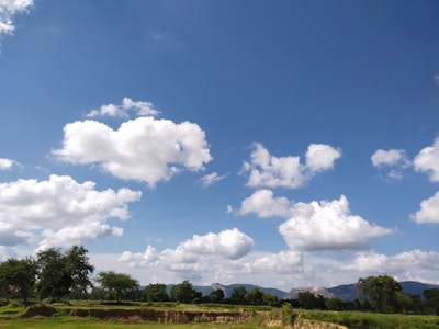 A picturesque Texas landscape featuring a ranch and open fields under a clear blue sky.