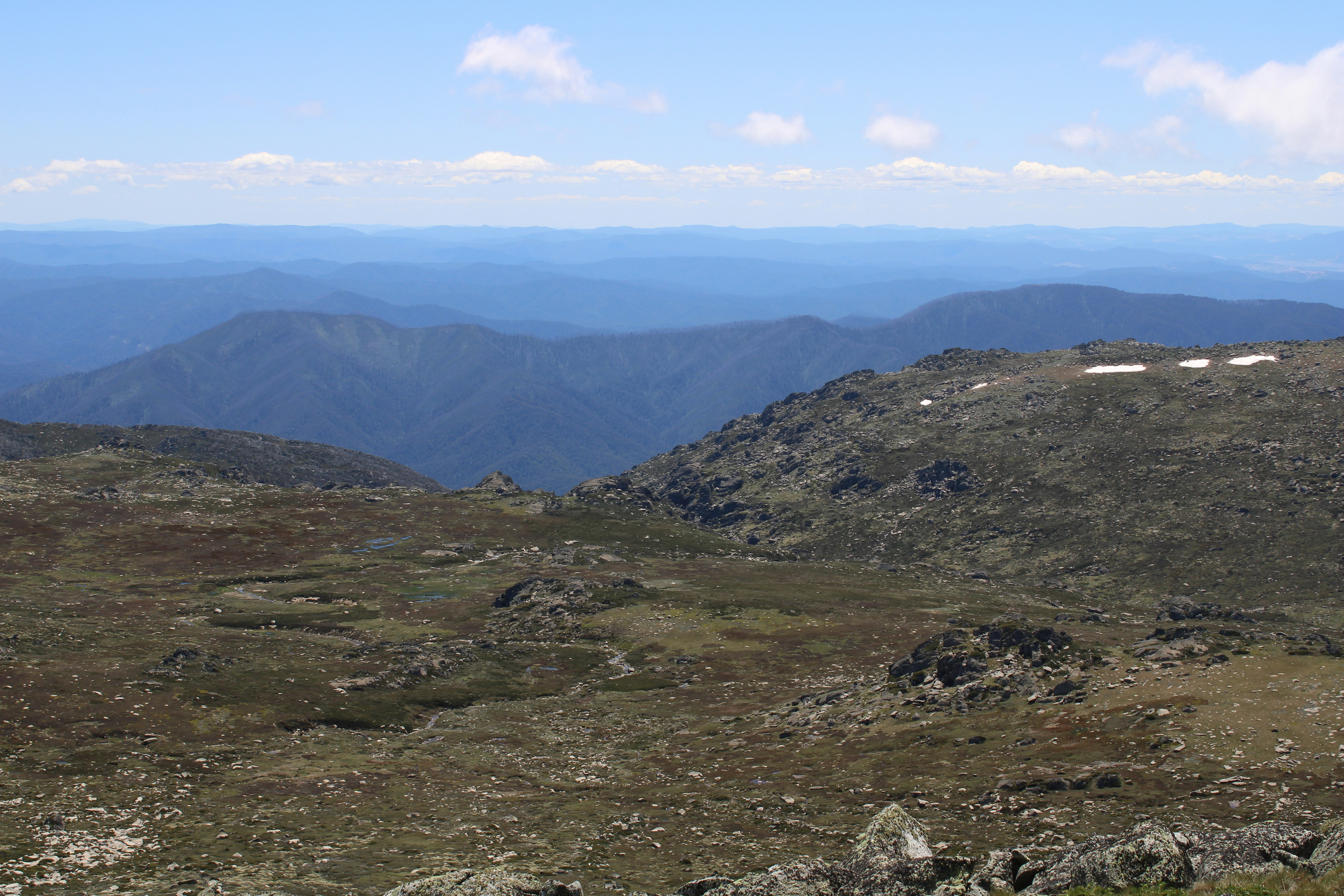 Photo by olivia_hibbins