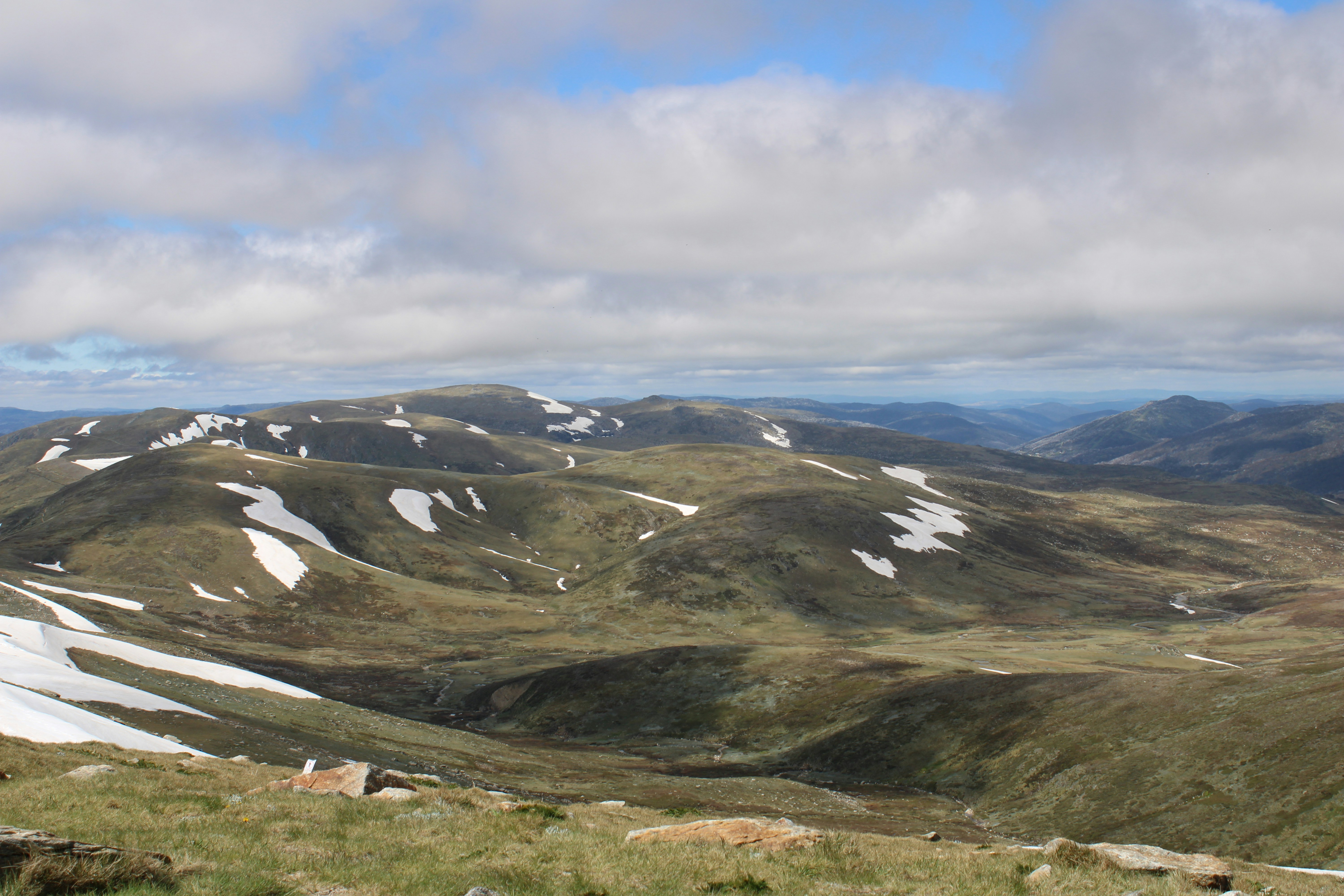 Photo by olivia_hibbins