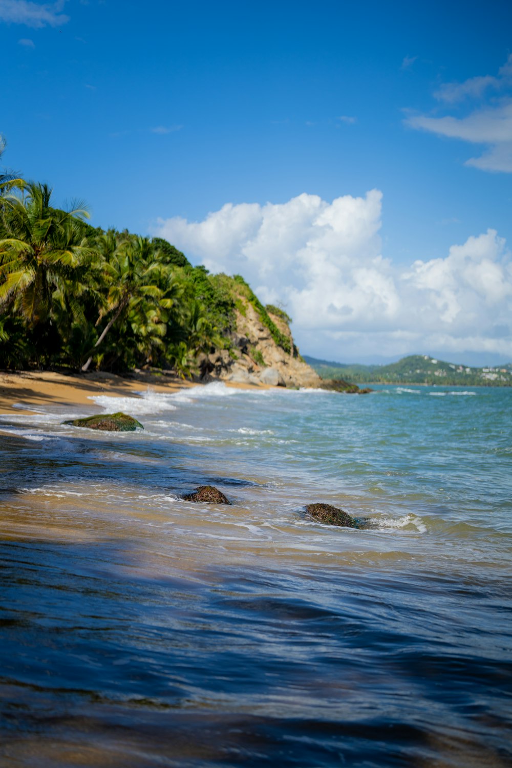 a sandy beach with palm trees and a body of water