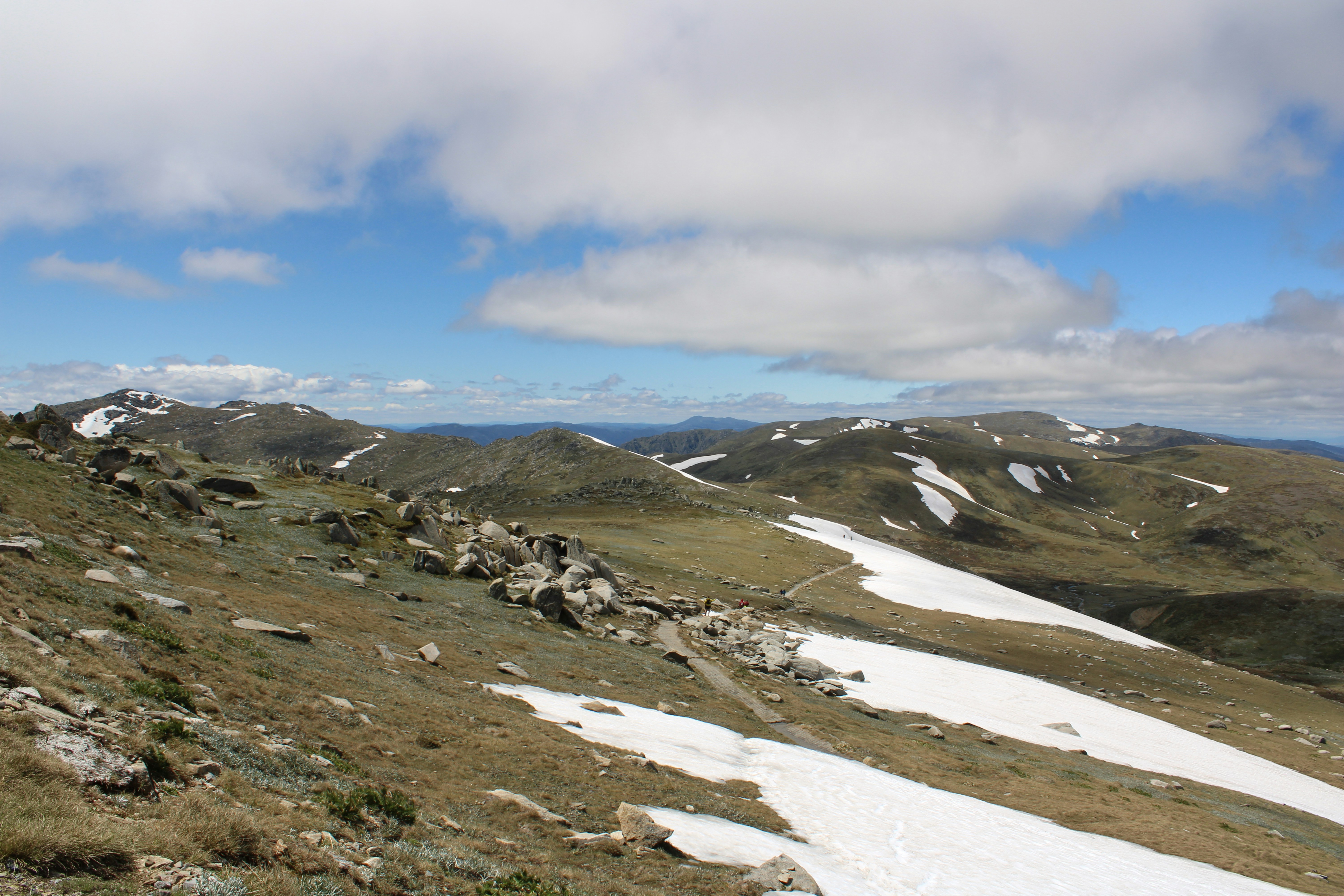 Photo by olivia_hibbins