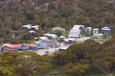 A small village with various buildings surrounded by dense forested area. The buildings are different in design and appear to be in close proximity to each other. The roof colors of the buildings vary, and some vehicles can be seen parked near the buildings. The area is set in a hilly or mountainous landscape covered with trees and foliage.