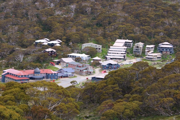 A small village with various buildings surrounded by dense forested area. The buildings are different in design and appear to be in close proximity to each other. The roof colors of the buildings vary, and some vehicles can be seen parked near the buildings. The area is set in a hilly or mountainous landscape covered with trees and foliage.